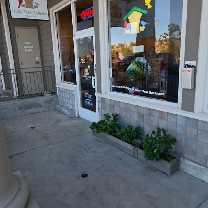 Come visit @wbu.sandiego with me!

Cheryl was kind, welcoming and extremely knowledgeable and I felt comfortable meandering around and soaking up all the birdy goodness

Dan and Cindy are committed to supporting birds, their habitats and us -folks in