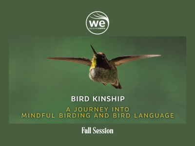 BIRD KINSHIP: Mindful Birding &amp; Bird Language - Fall