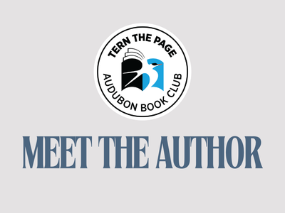 TERN THE PAGE BOOK CLUB -  Meet the Author  | Virtual 