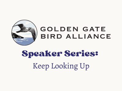 Golden Gate Bird Alliance Speaker Series: Keep Looking Up