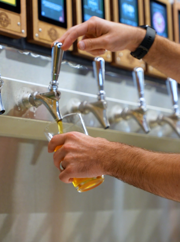 How Draft Systems Get Beer From Keg to Glass