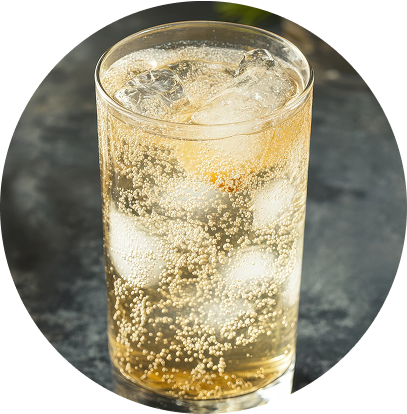 Seltzer on Tap For Any Business