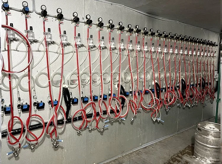 Primary Secondary Regulators