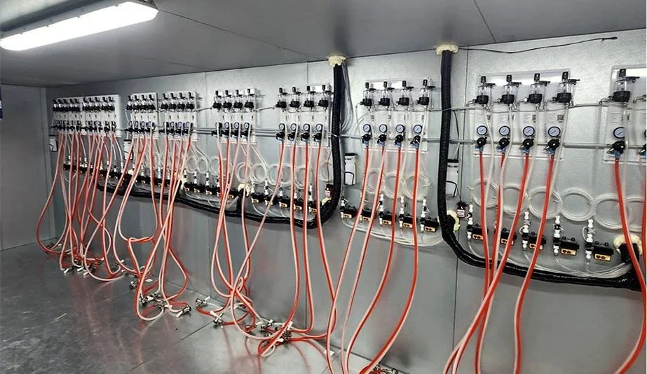 Ongoing Support and Maintenance