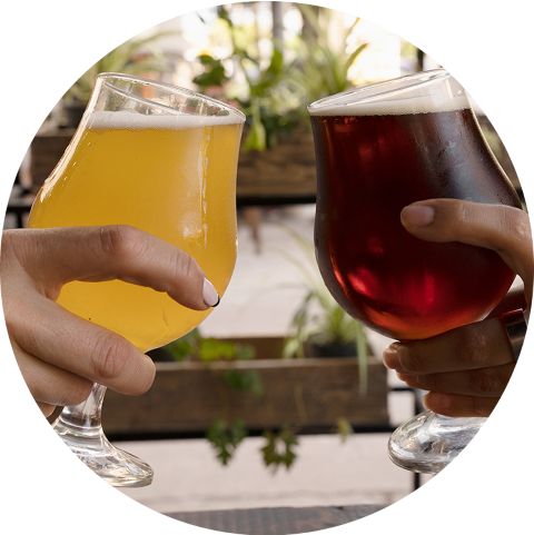 Beer tap wall systems