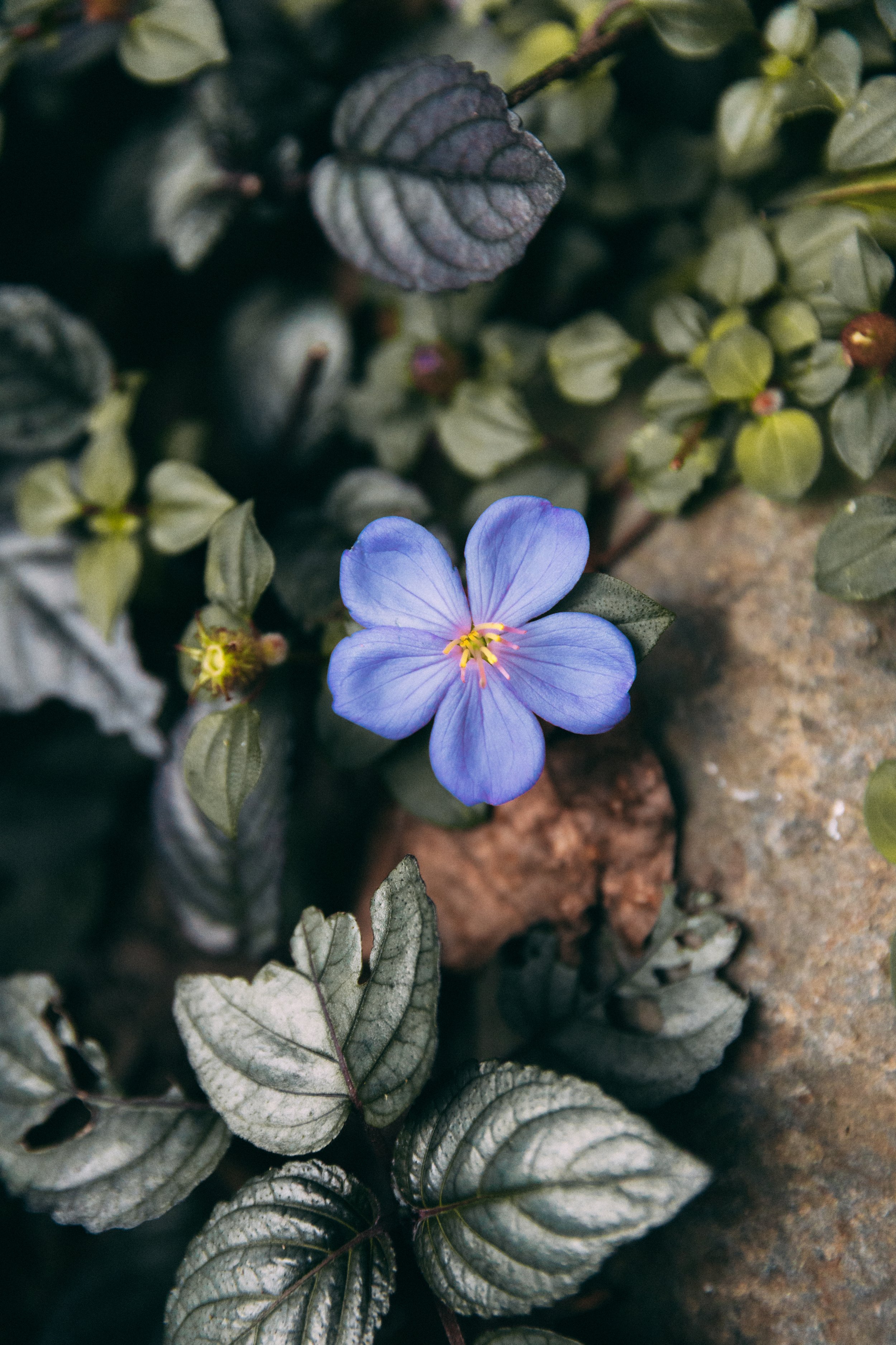 Senza titolo-1507.jpg