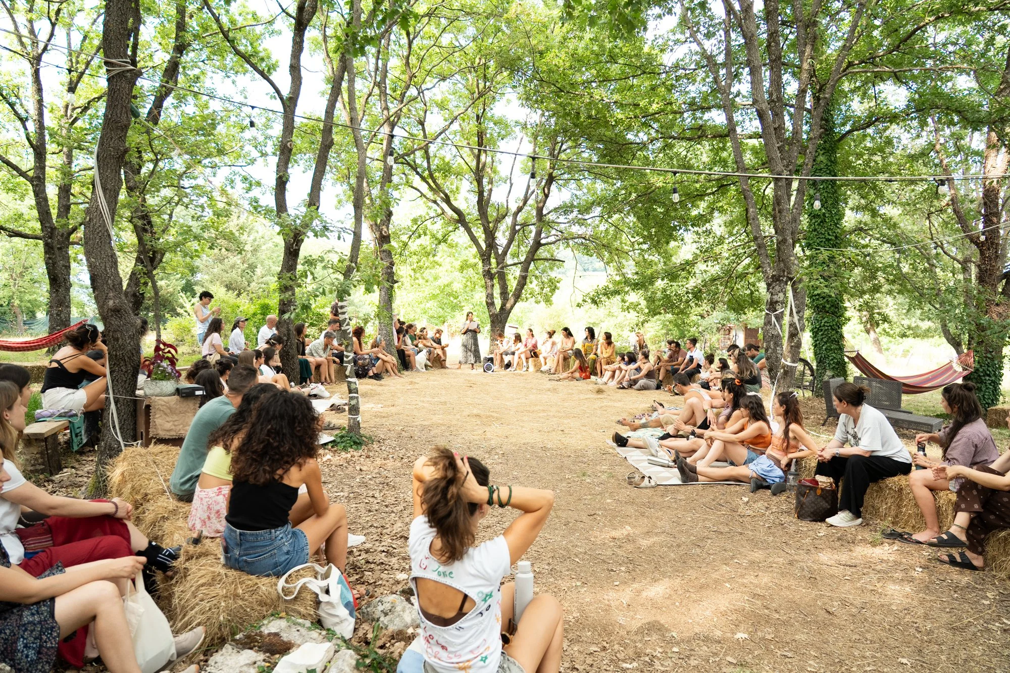 wildfest33.jpg