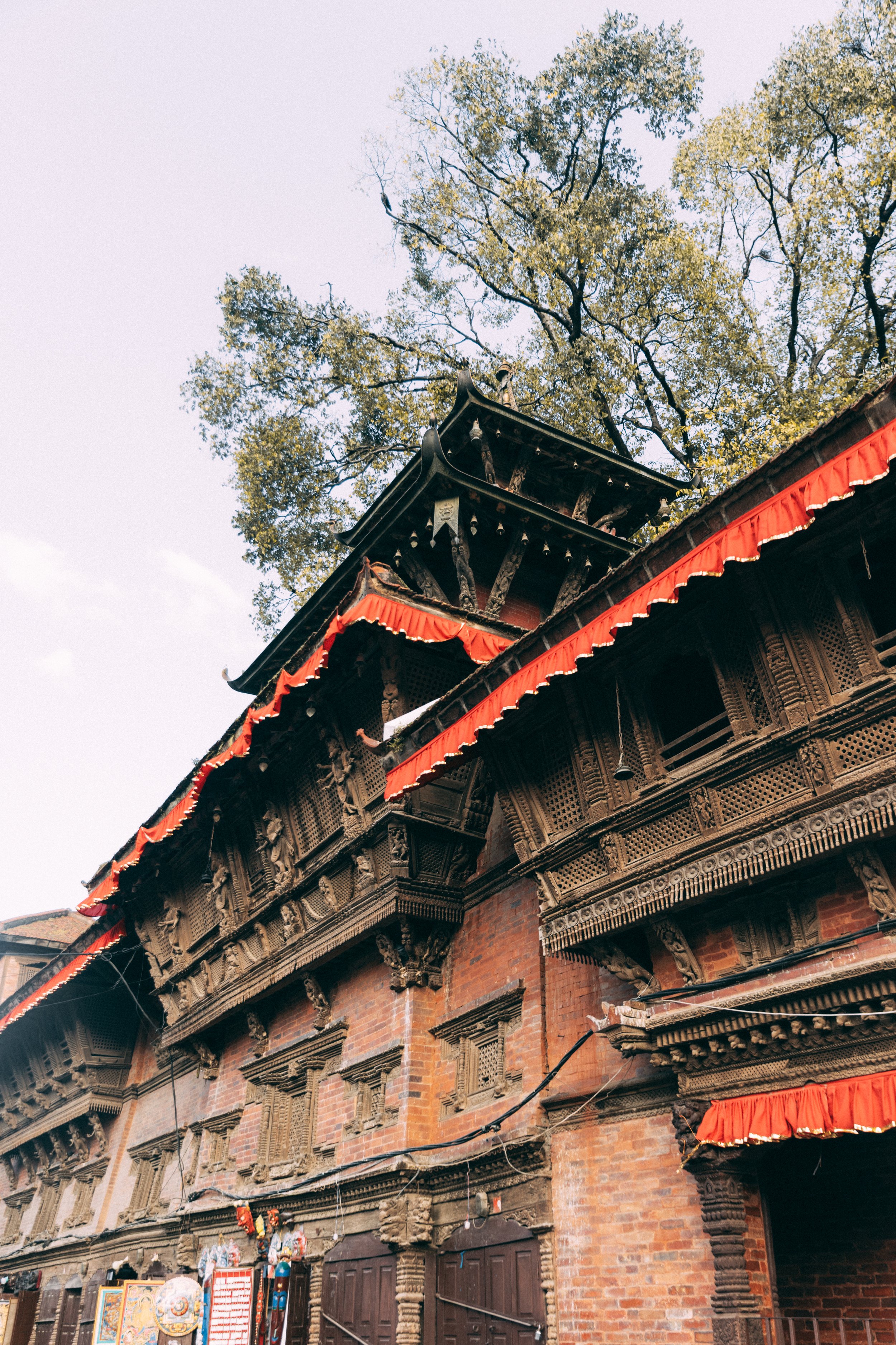 Senza titolo-1107.jpg