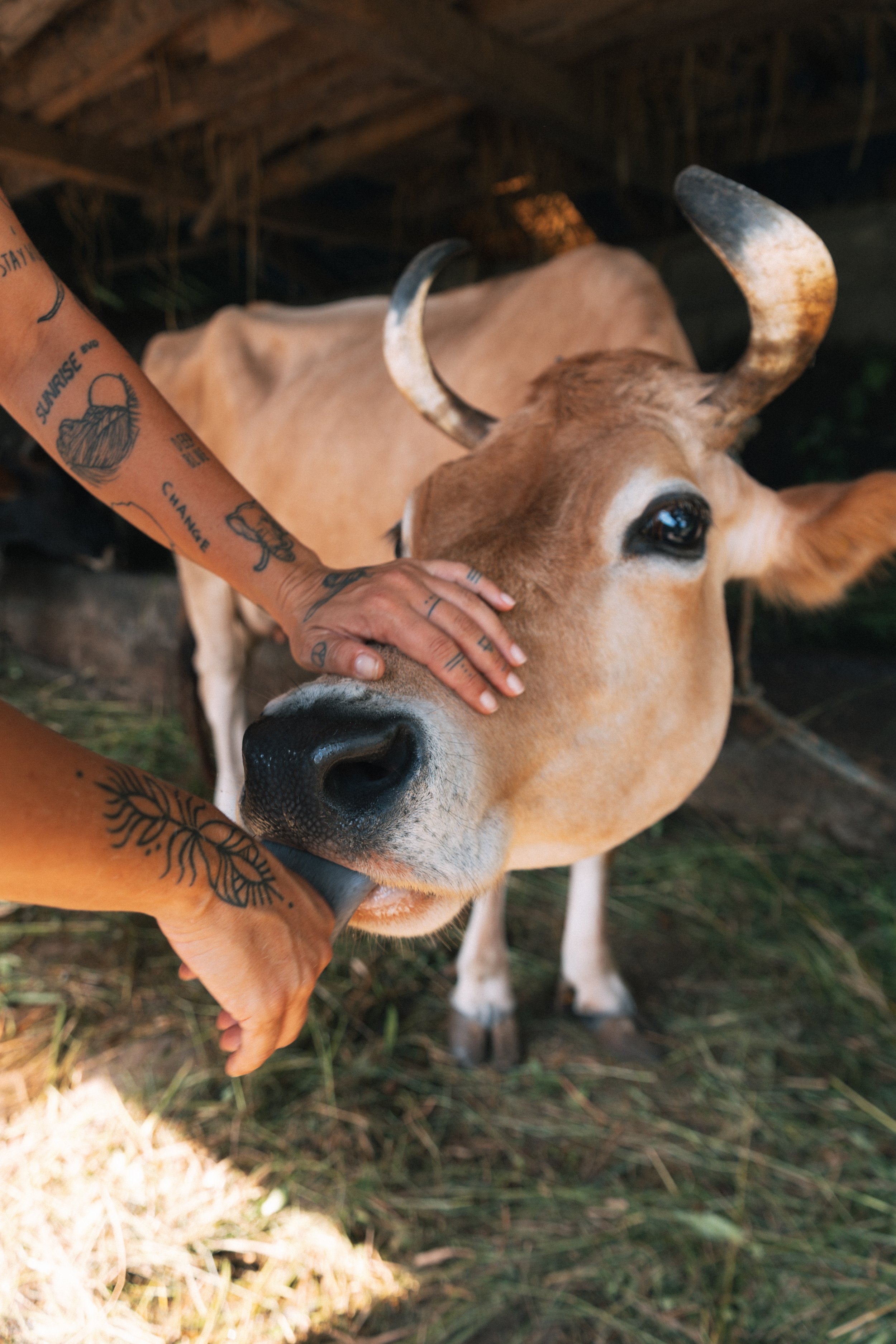 Senza titolo-1151.jpg