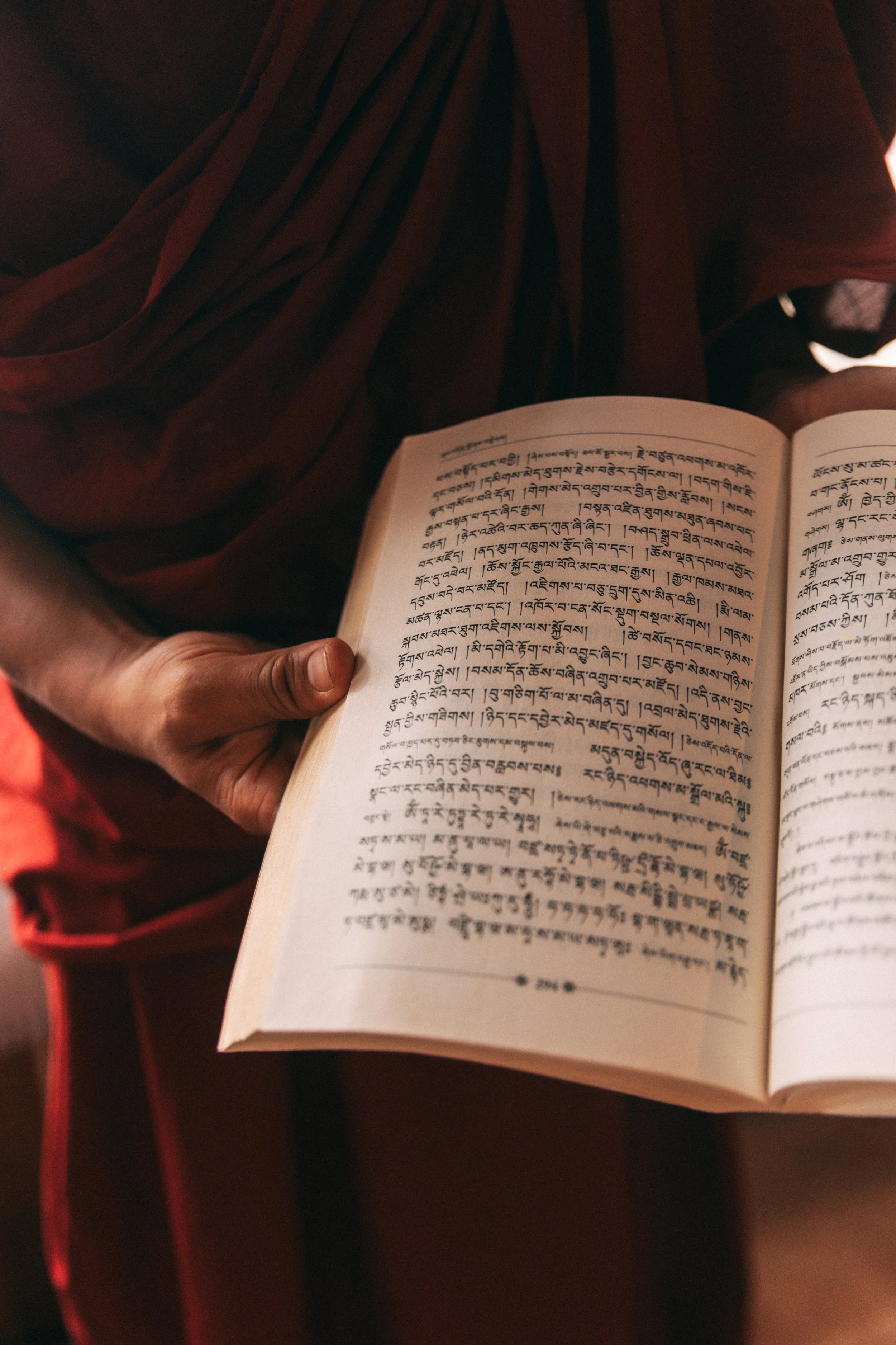 Senza titolo-1012.jpg