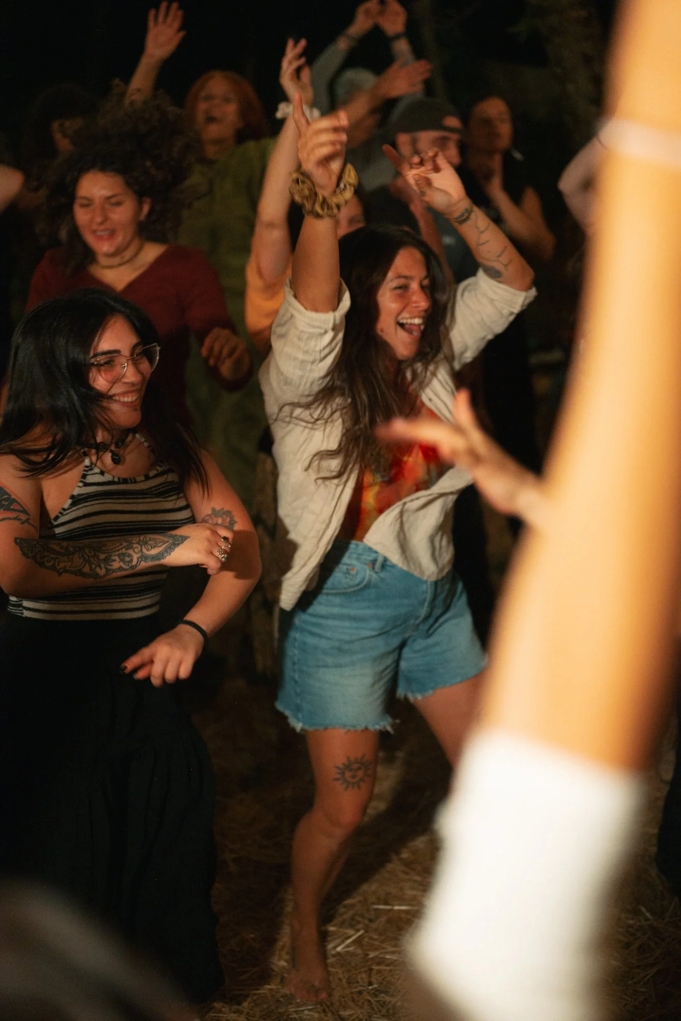 Wild_Fest_2025-458.jpg