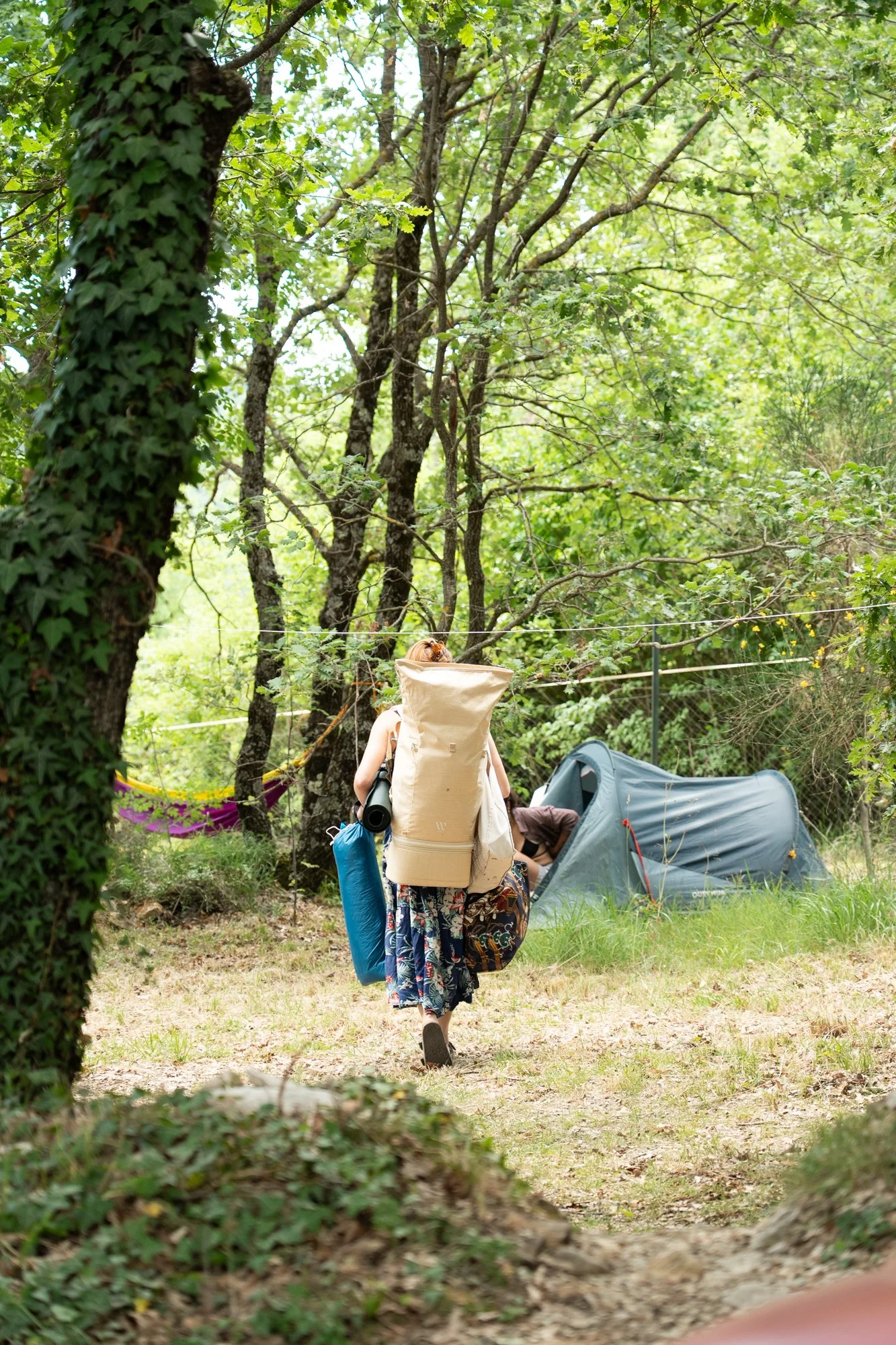 wildfest8.jpg