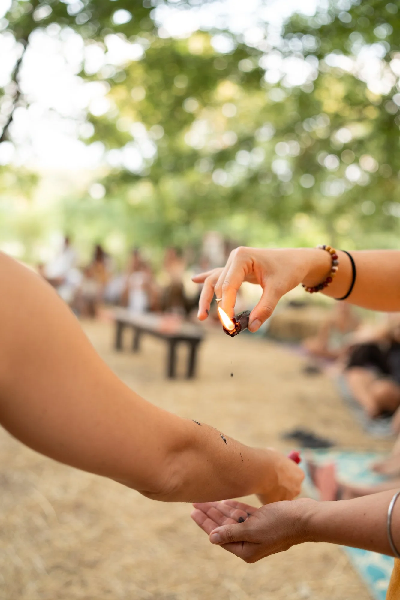 wildfest500.jpg