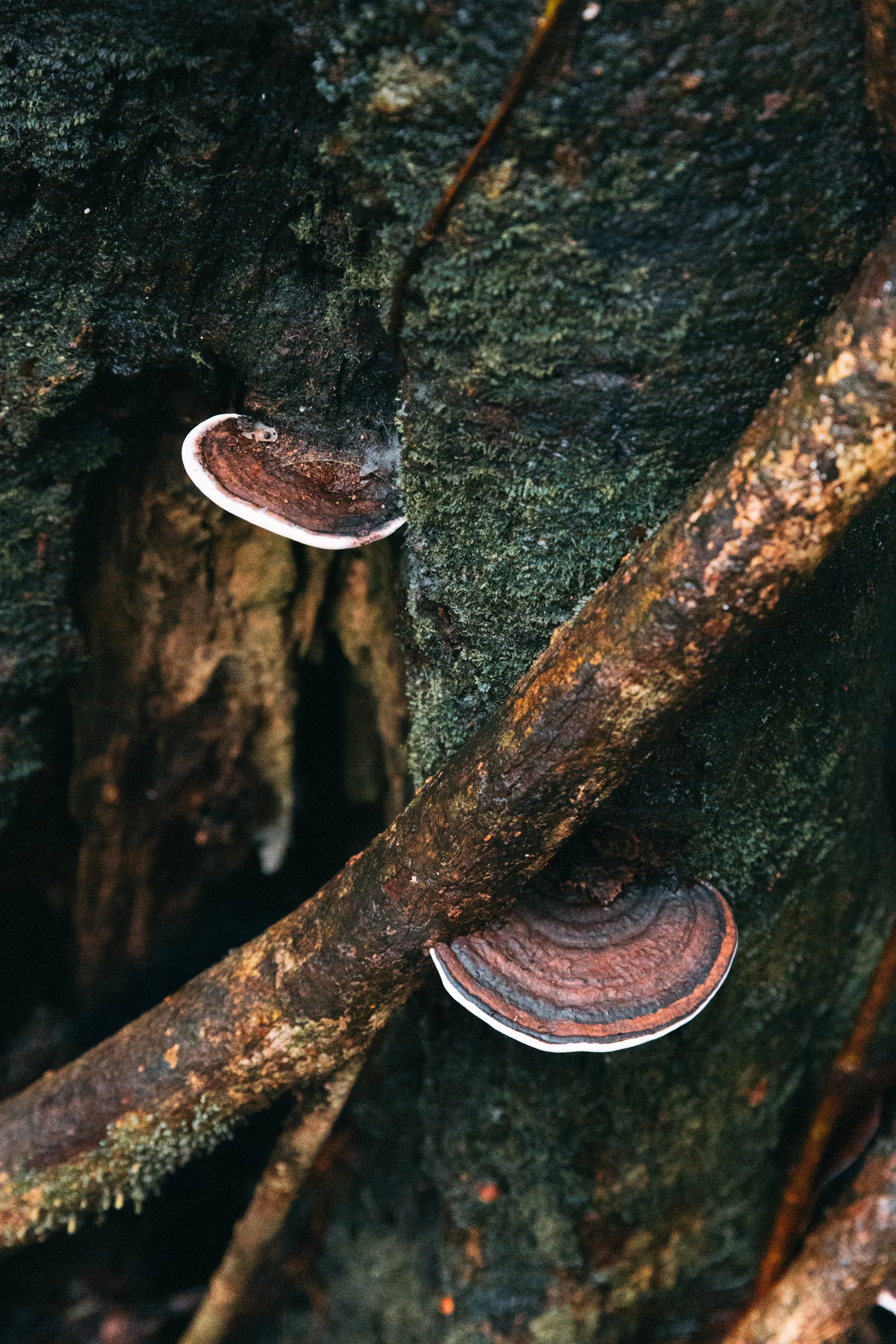 Senza titolo-1371.jpg