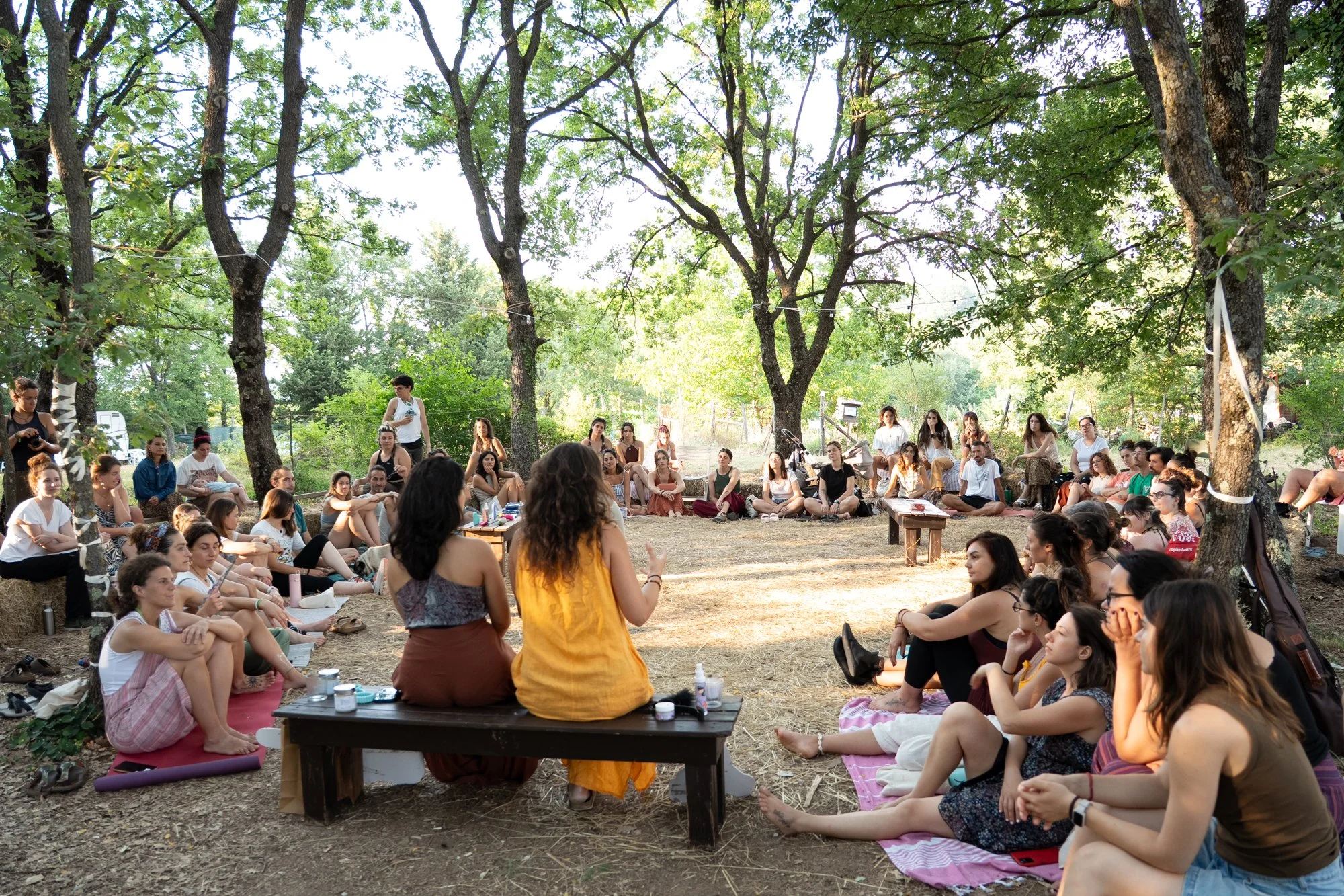 wildfest470.jpg
