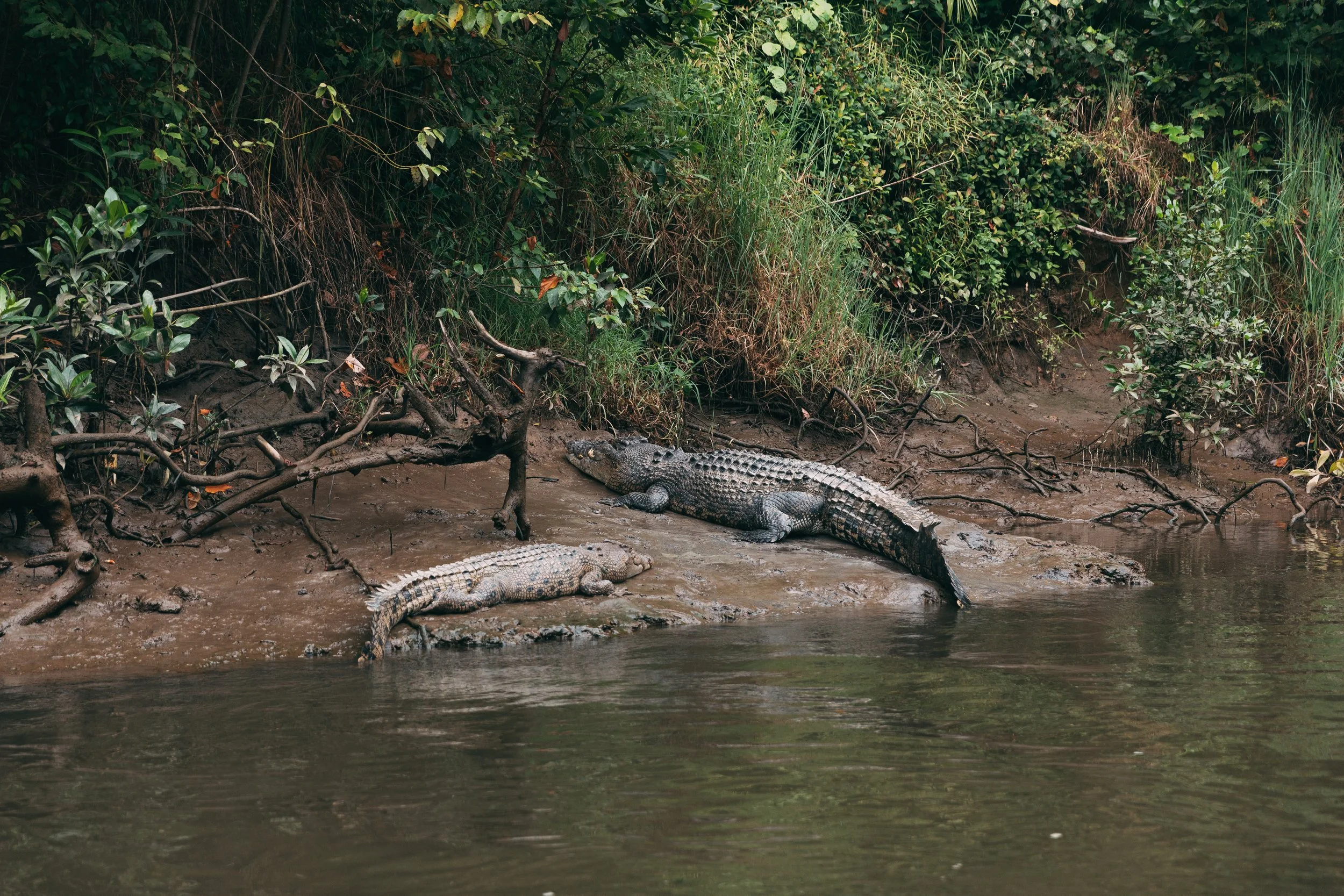 Senza titolo-1472.jpg