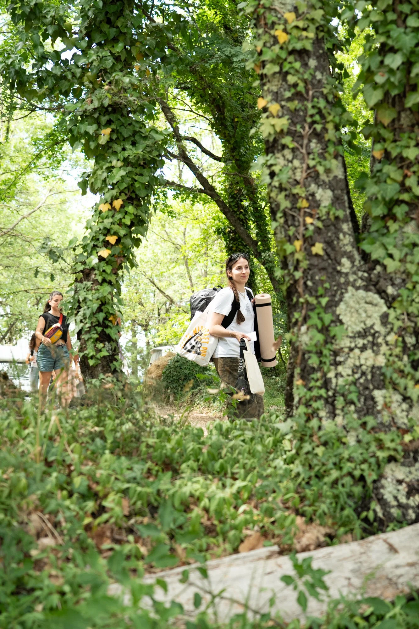 wildfest12.jpg