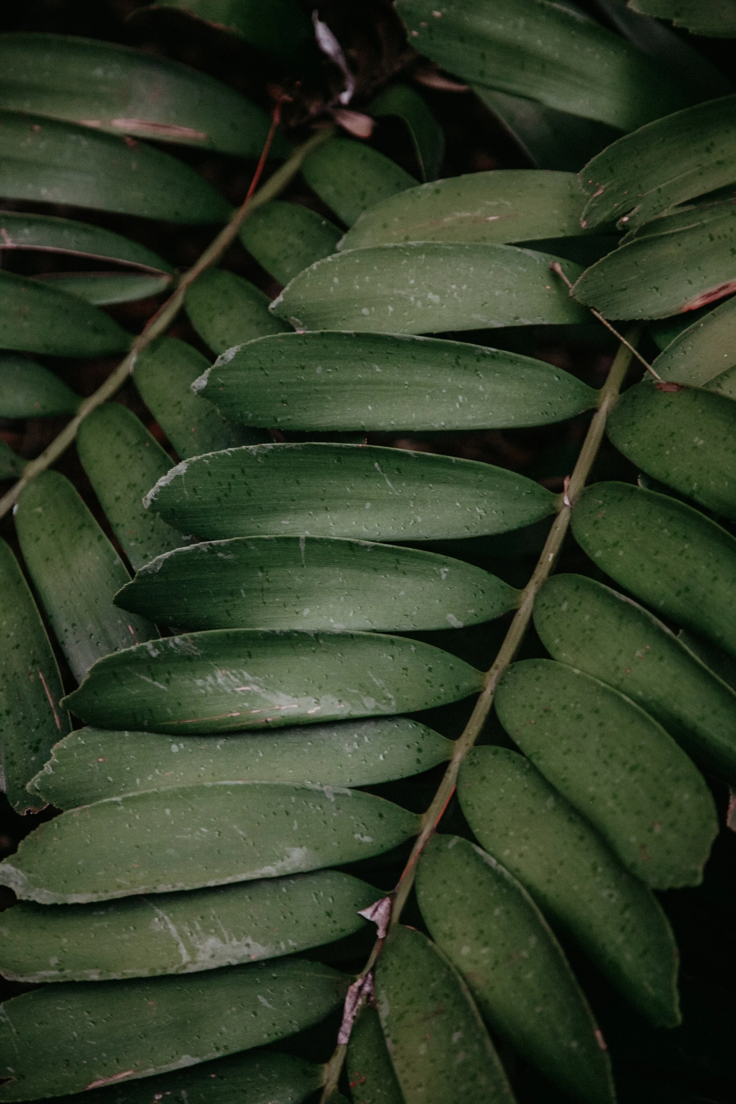 Senza titolo-1534.jpg