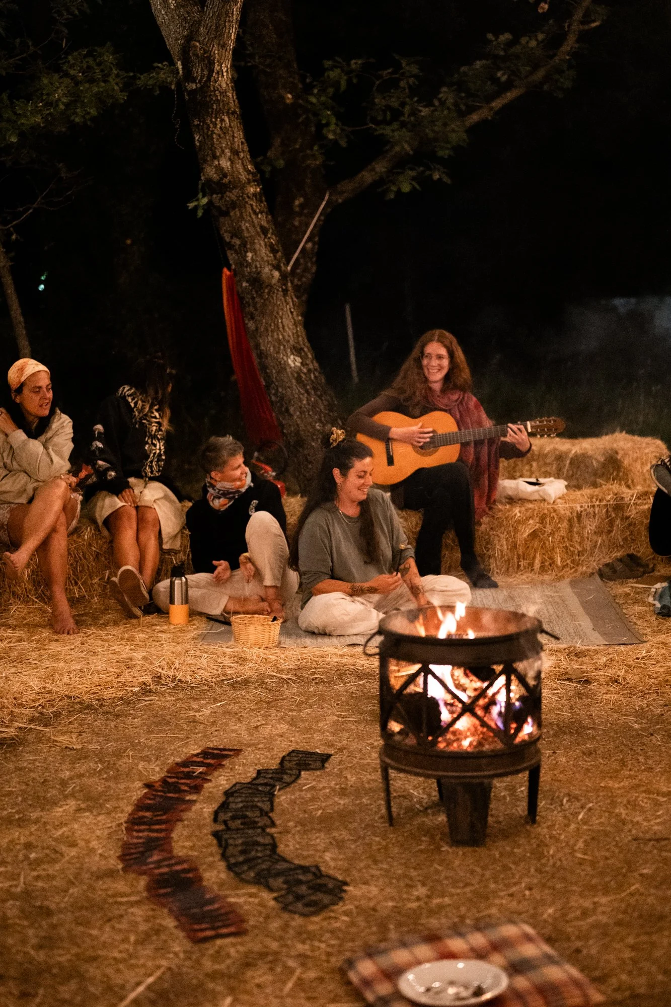 Wild_Fest_2025-116.jpg