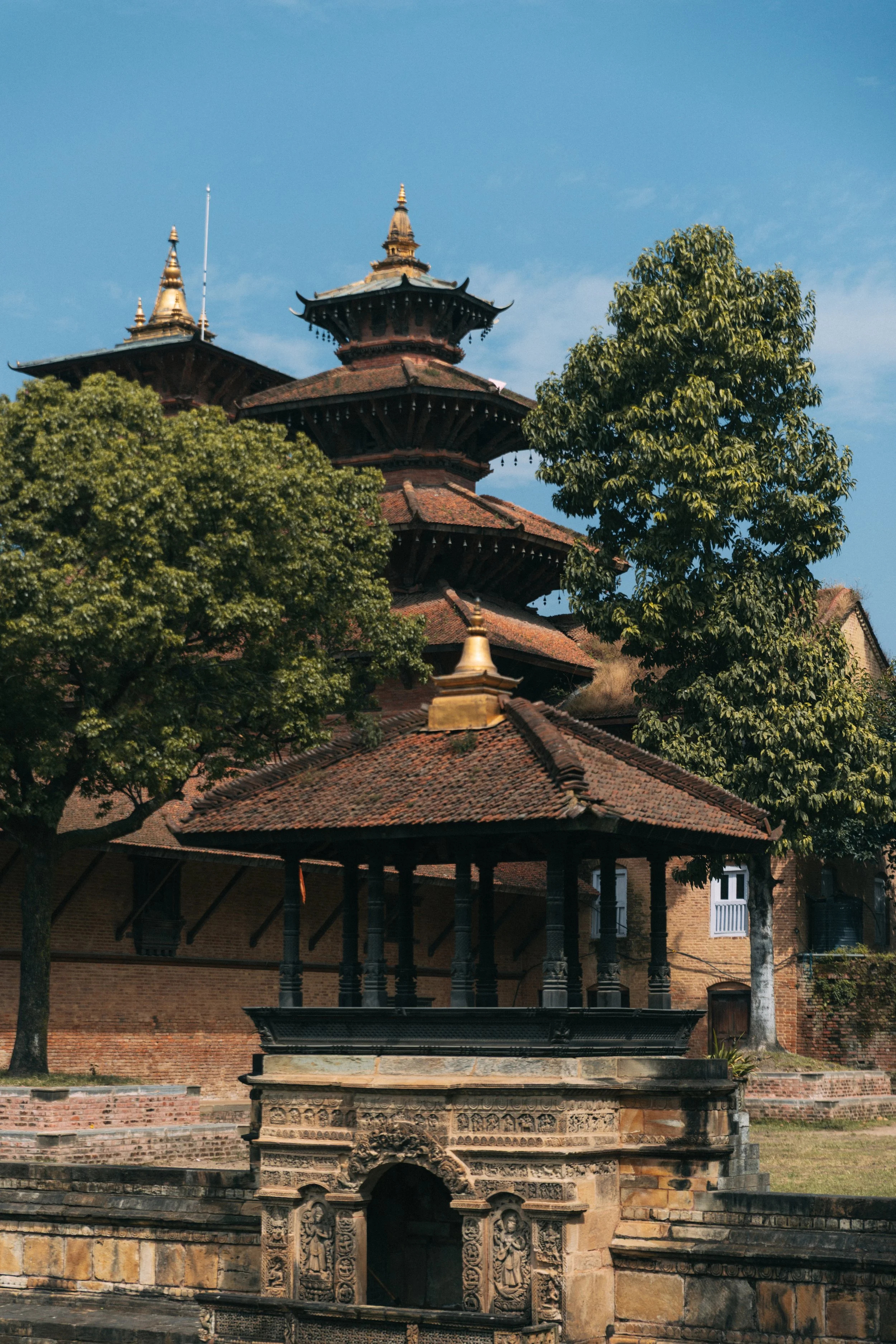 Senza titolo-1187.jpg