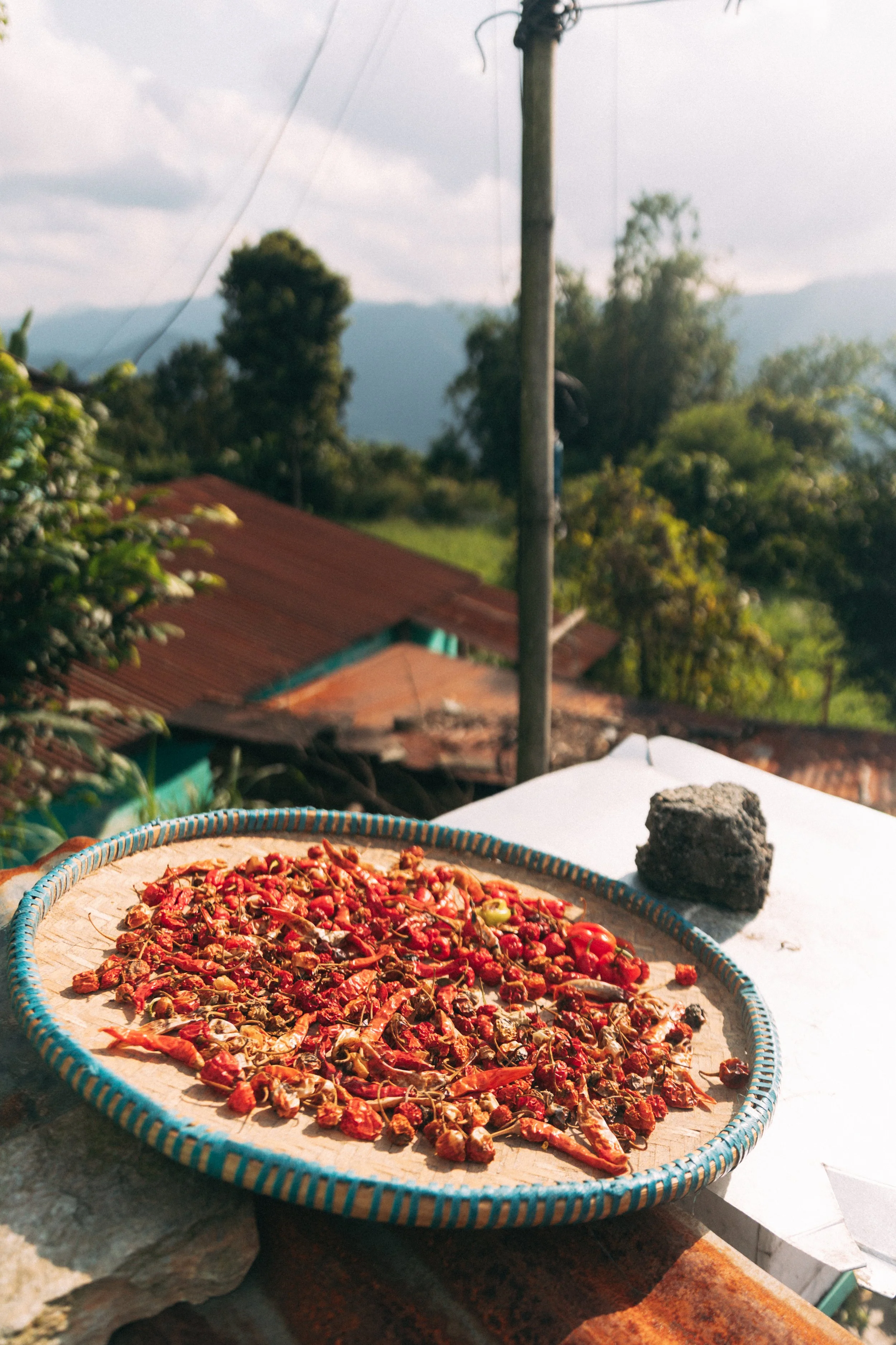 Senza titolo-1165.jpg