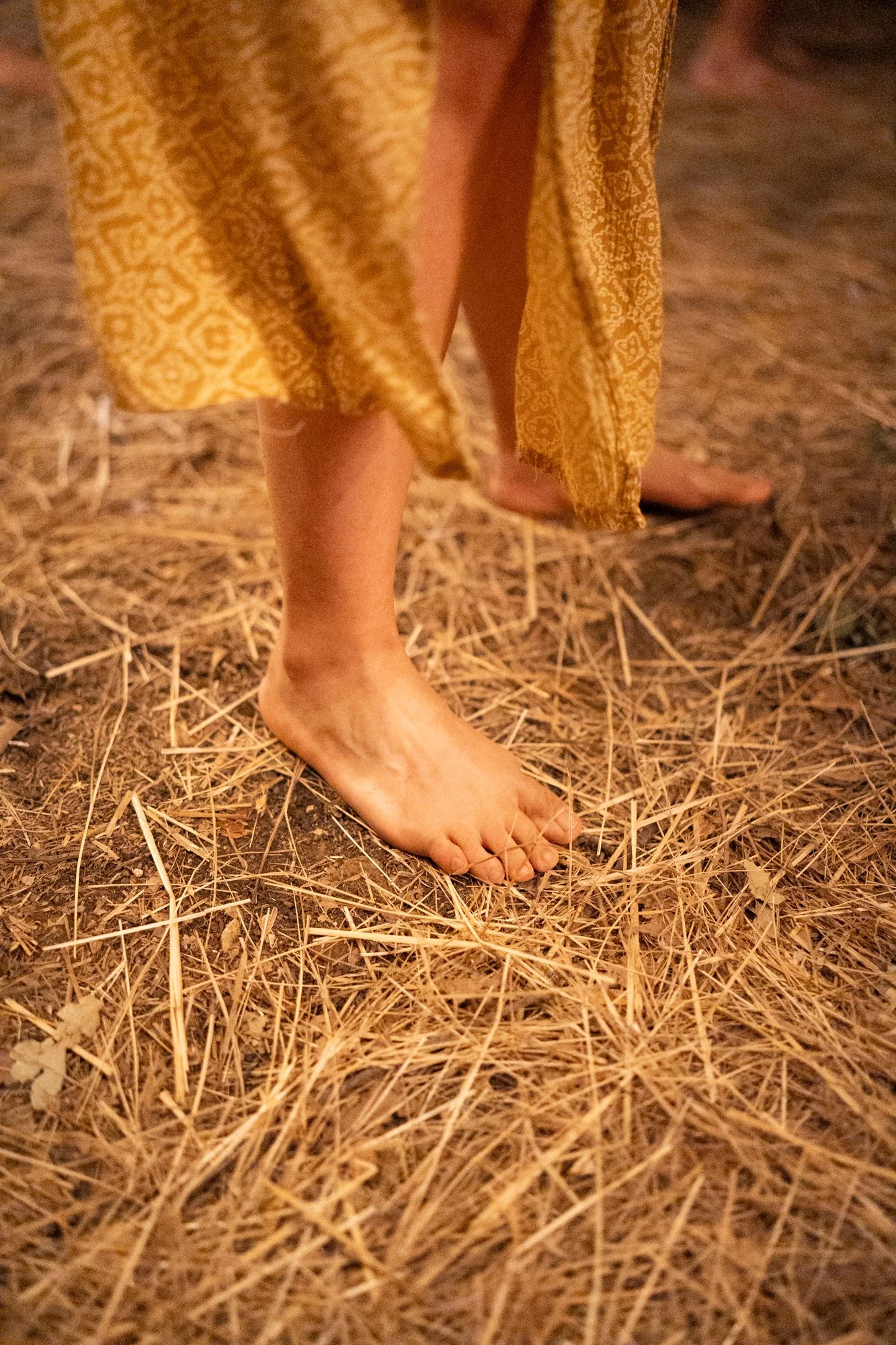 wildfest573.jpg