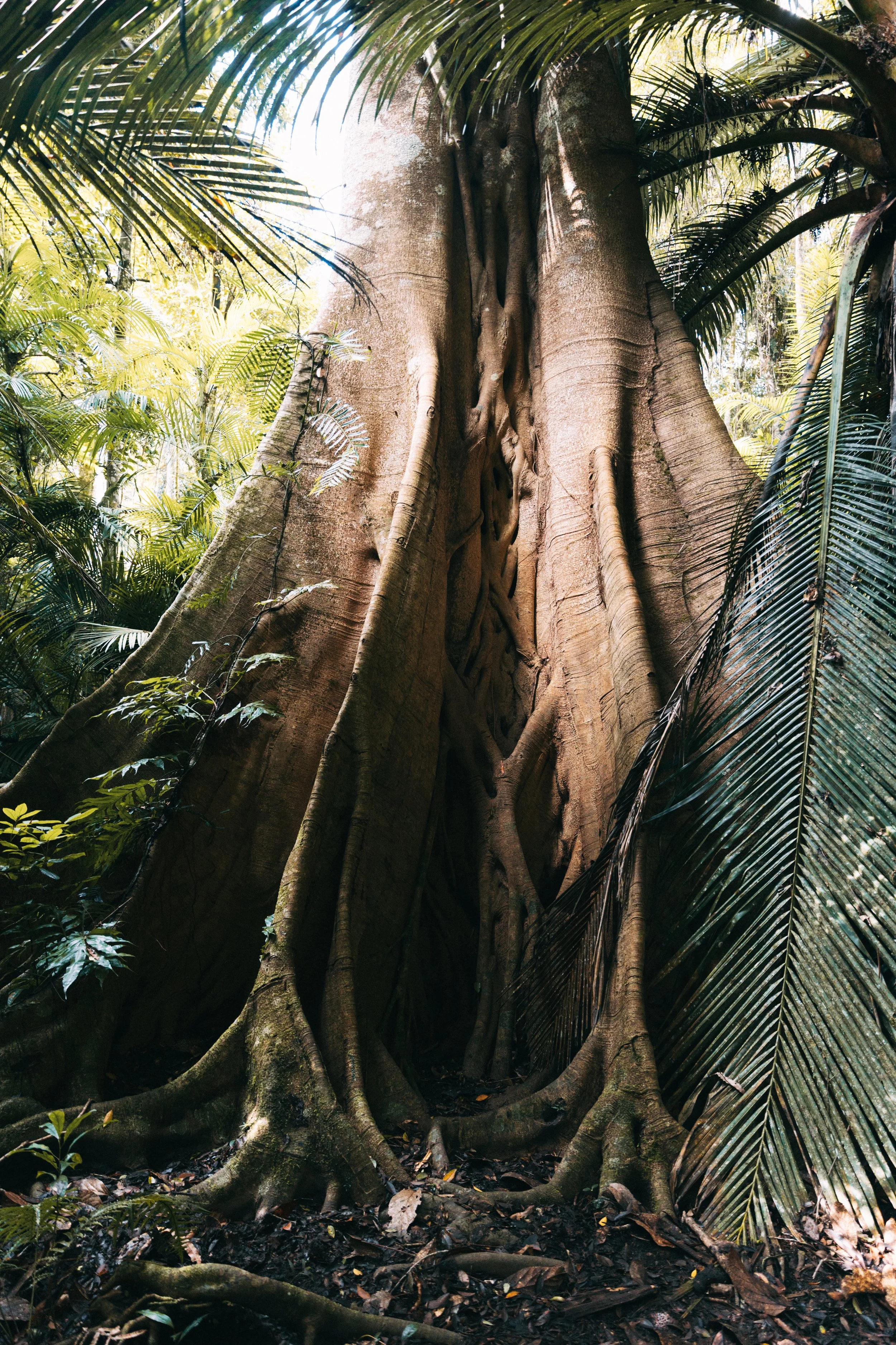 Senza titolo-1427.jpg