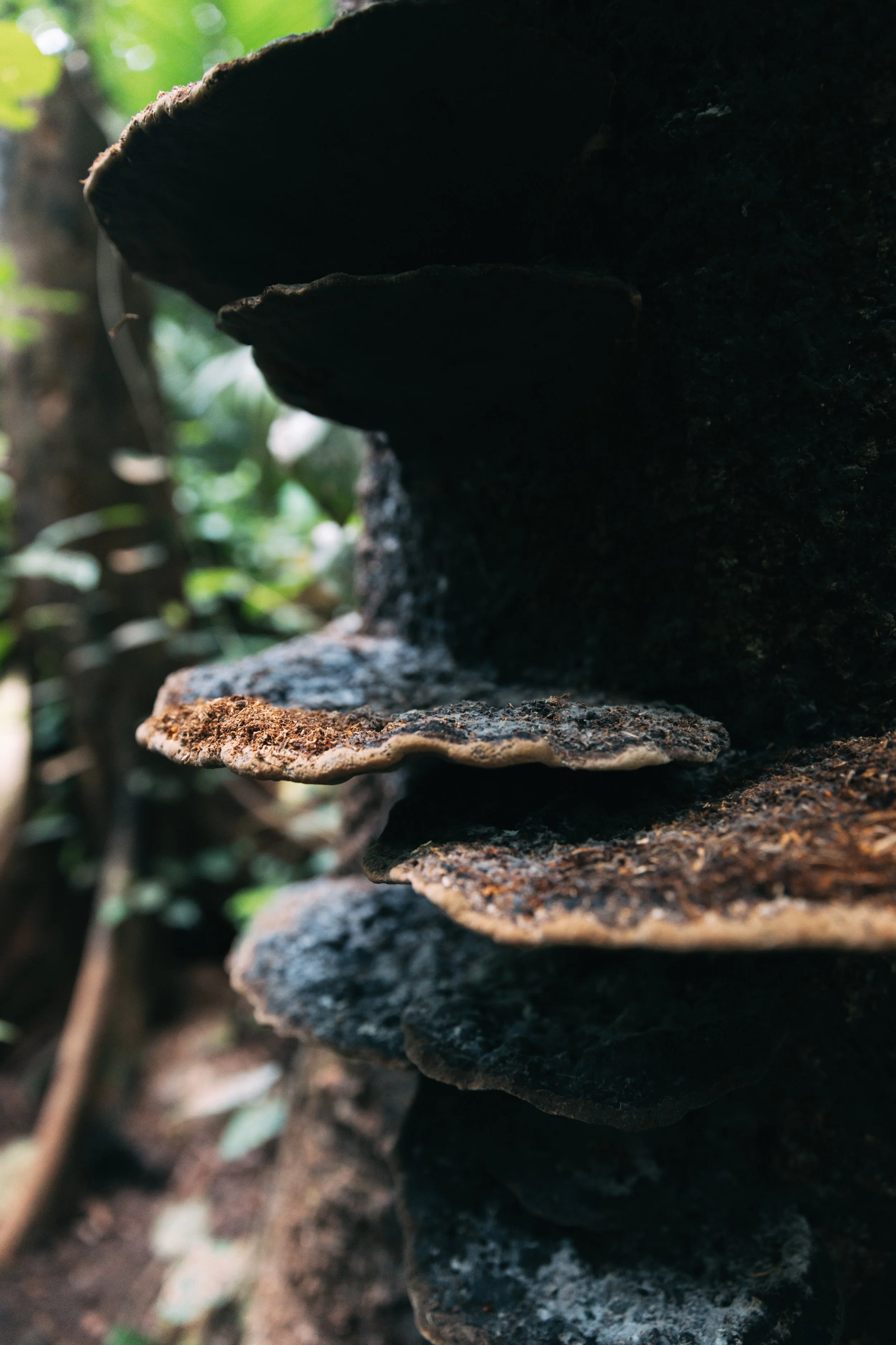 Senza titolo-1489.jpg