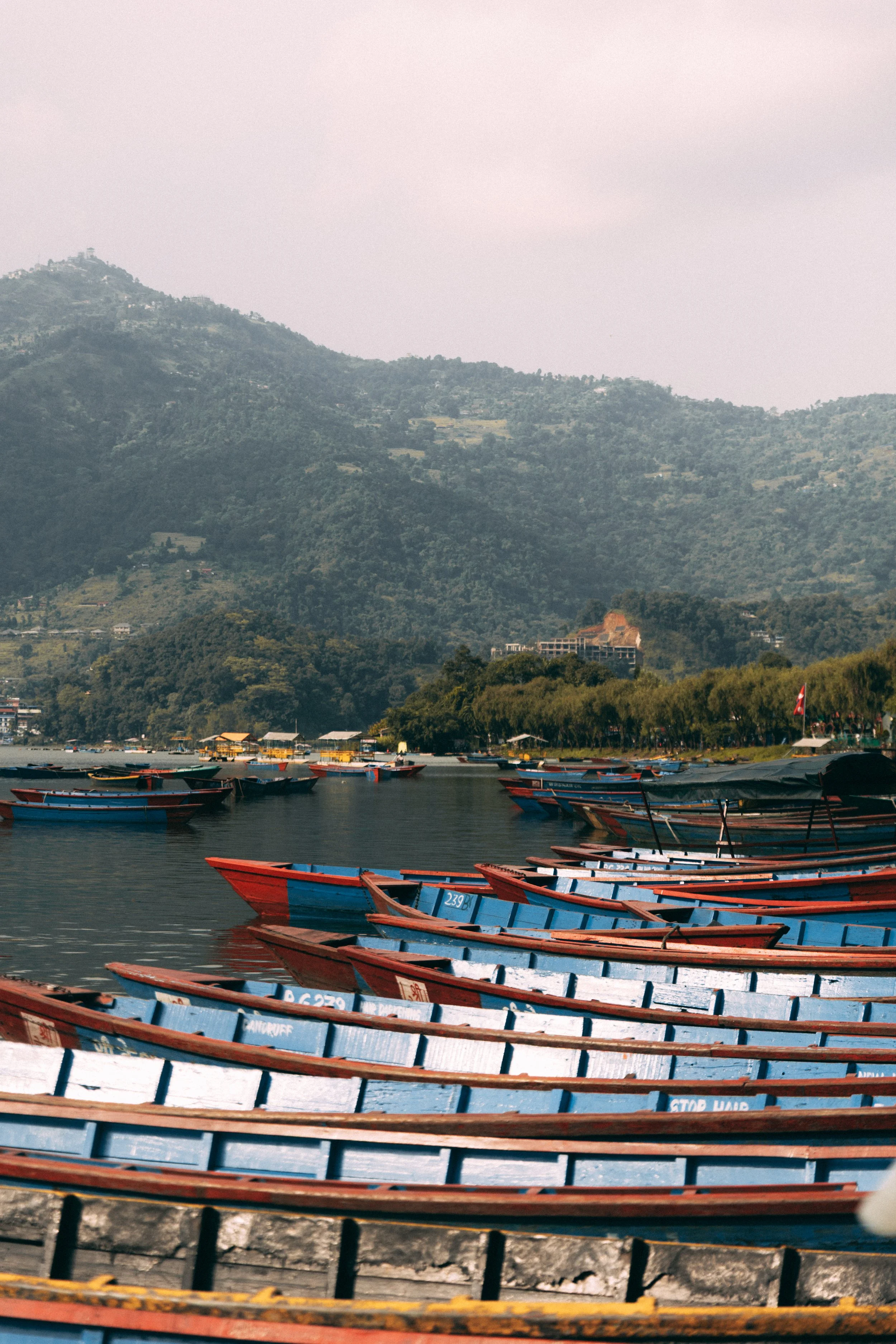 Senza titolo-1174.jpg