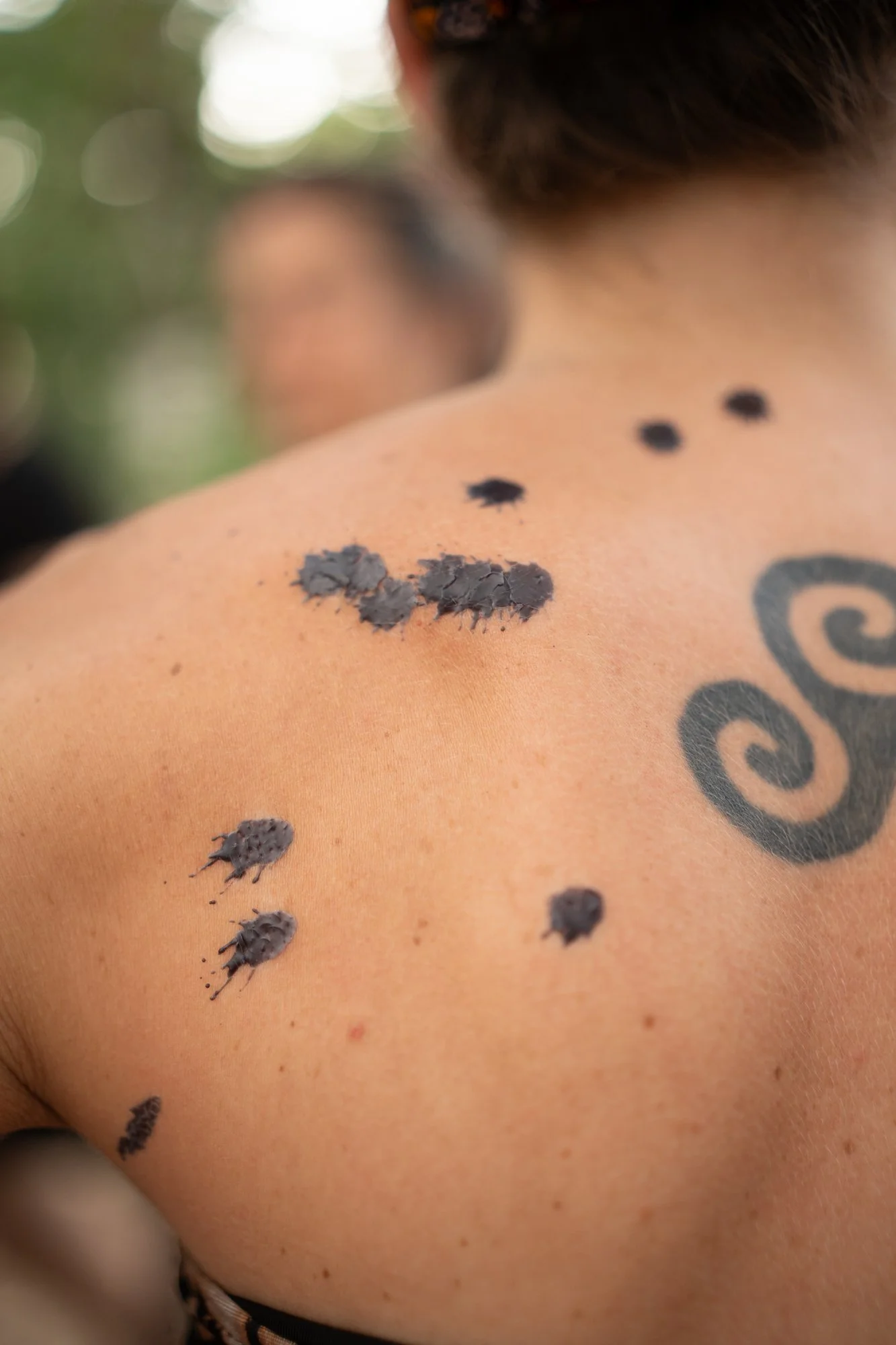 wildfest513.jpg