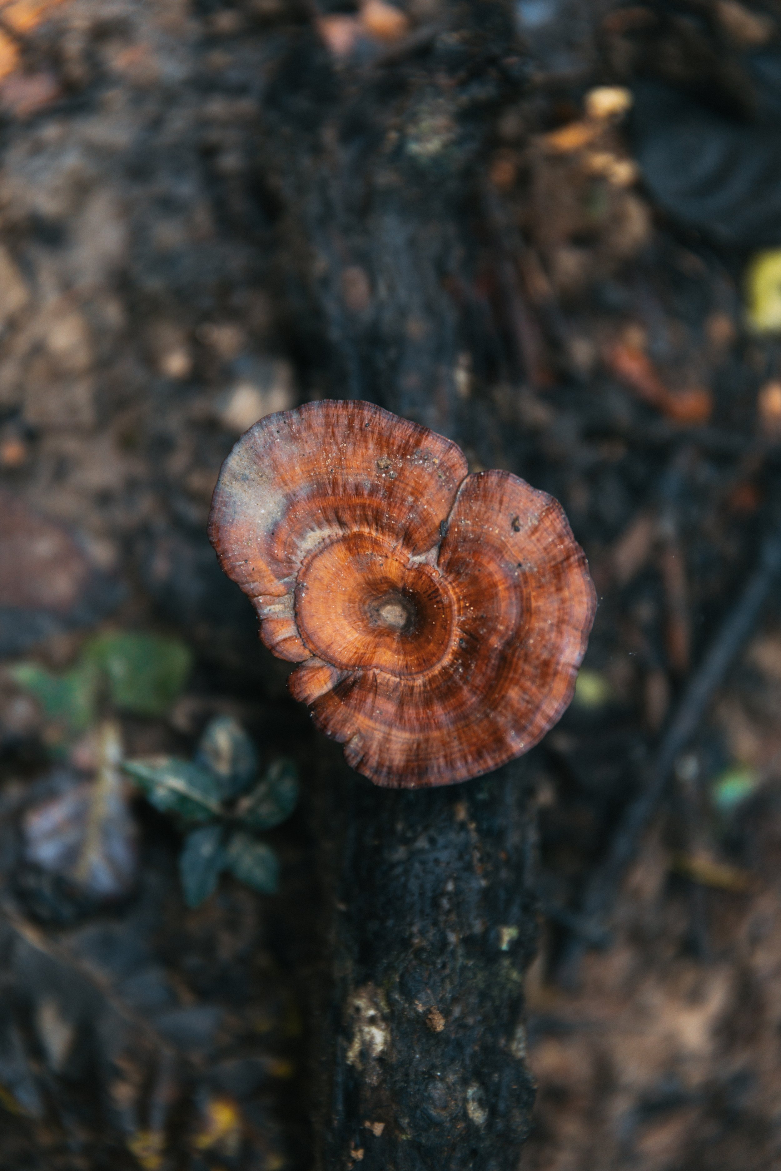 Senza titolo-1422.jpg