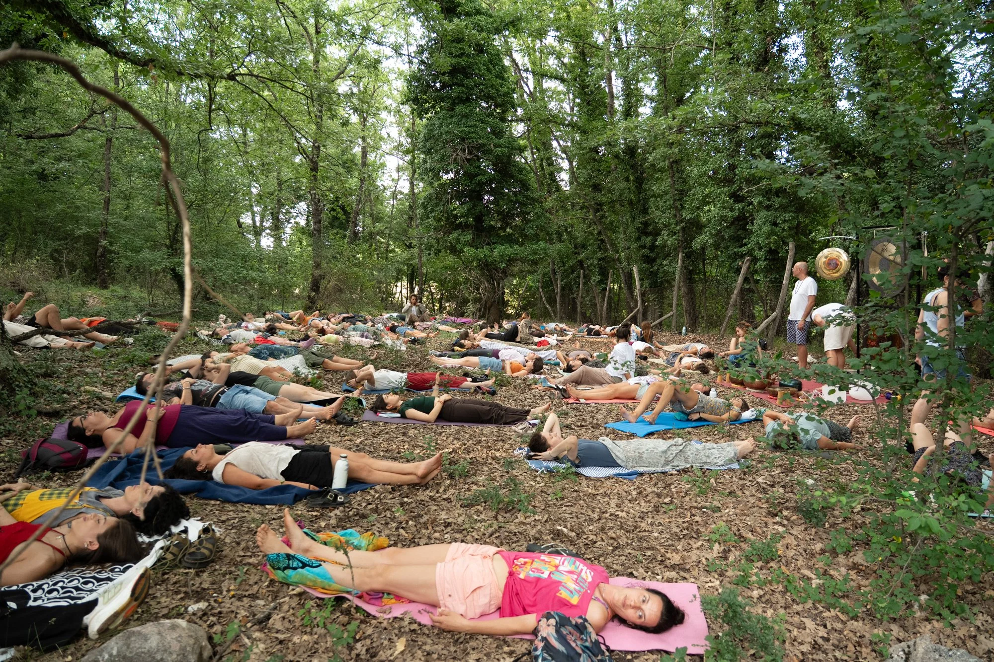 wildfest60.jpg
