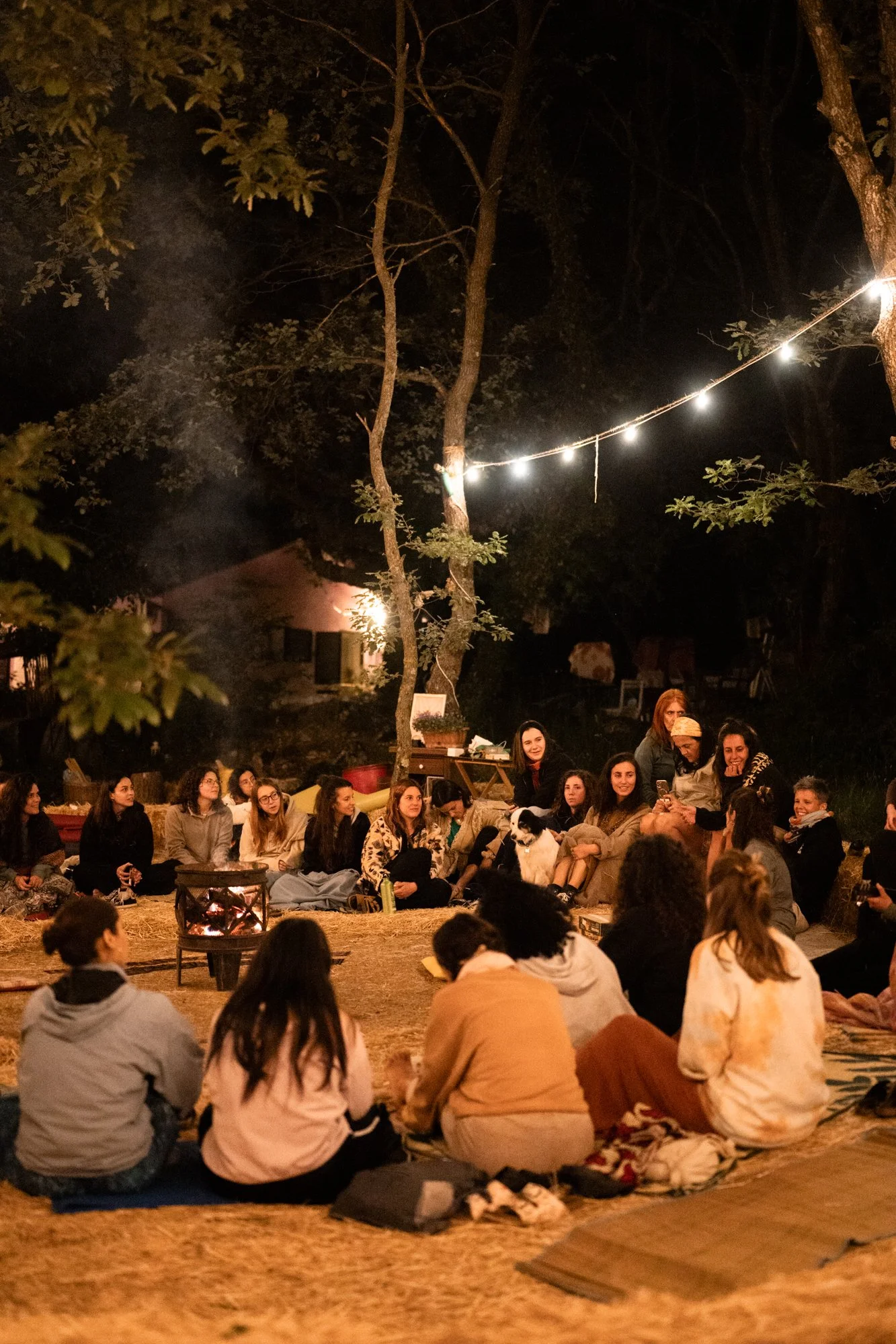 Wild_Fest_2025-111.jpg