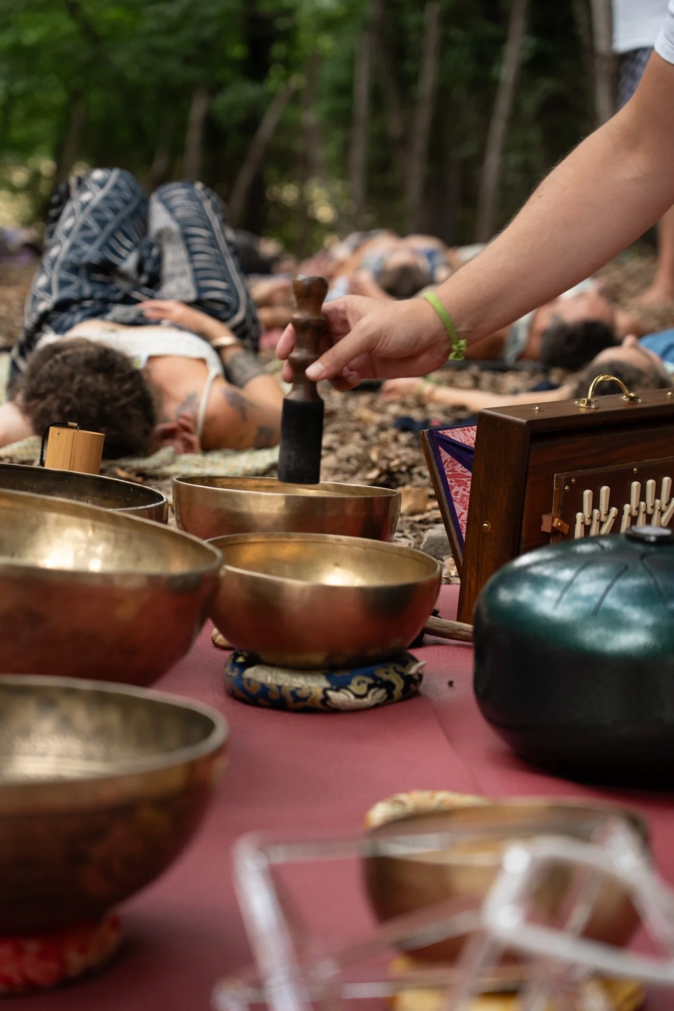 wildfest77.jpg