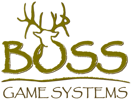 Boss Game Systems