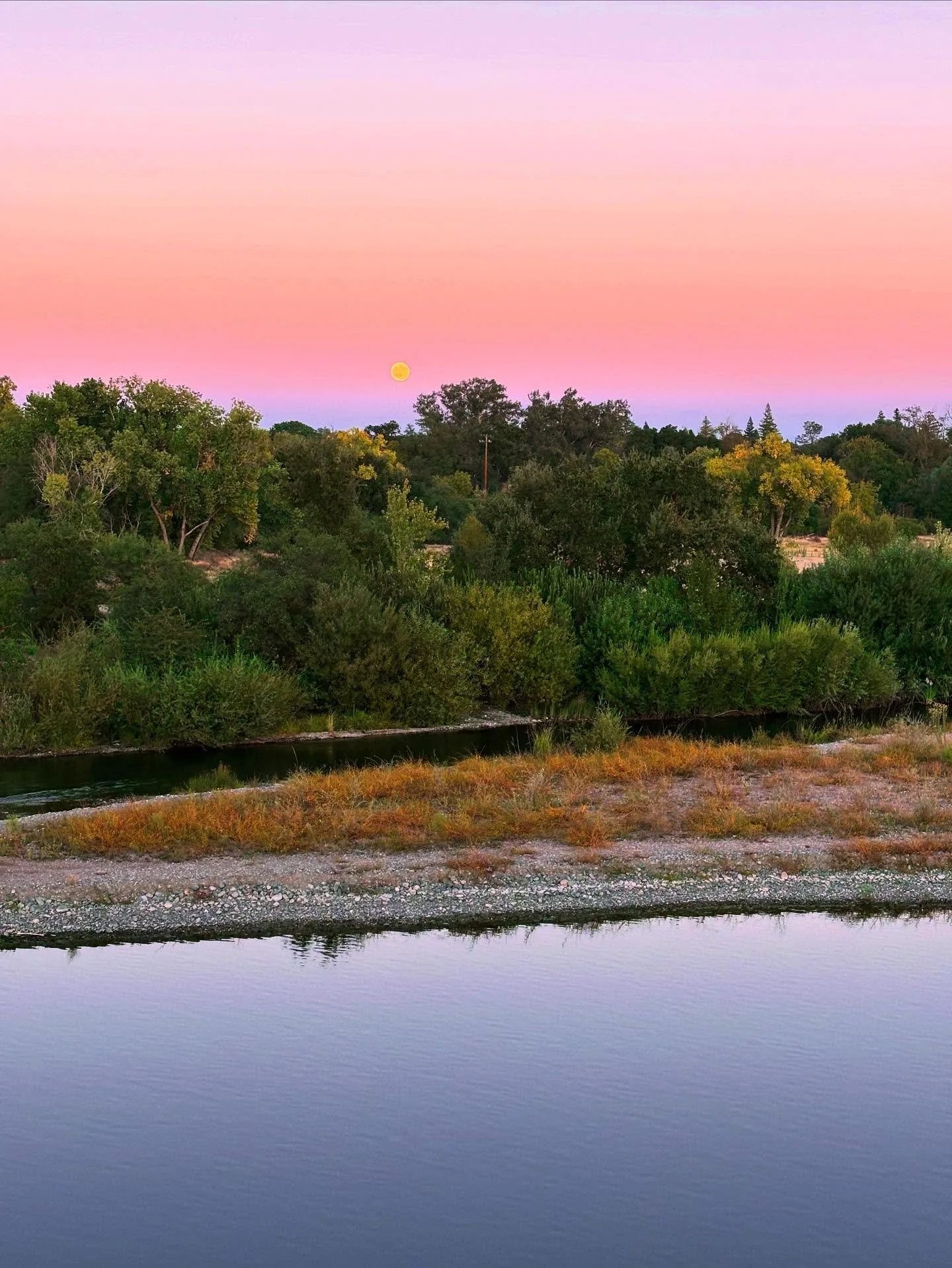 🌅 🌉 🌕 💛 ⭐️ ✨ 

My new go-to spot to watch the full moon rise:

📍Harold Richey Bicycle Bridge is where the bike trail crosses from the north bank of the river at William B Pond . . . to the south bank at River Bend Park.

#harvestmoon #fullmoon #