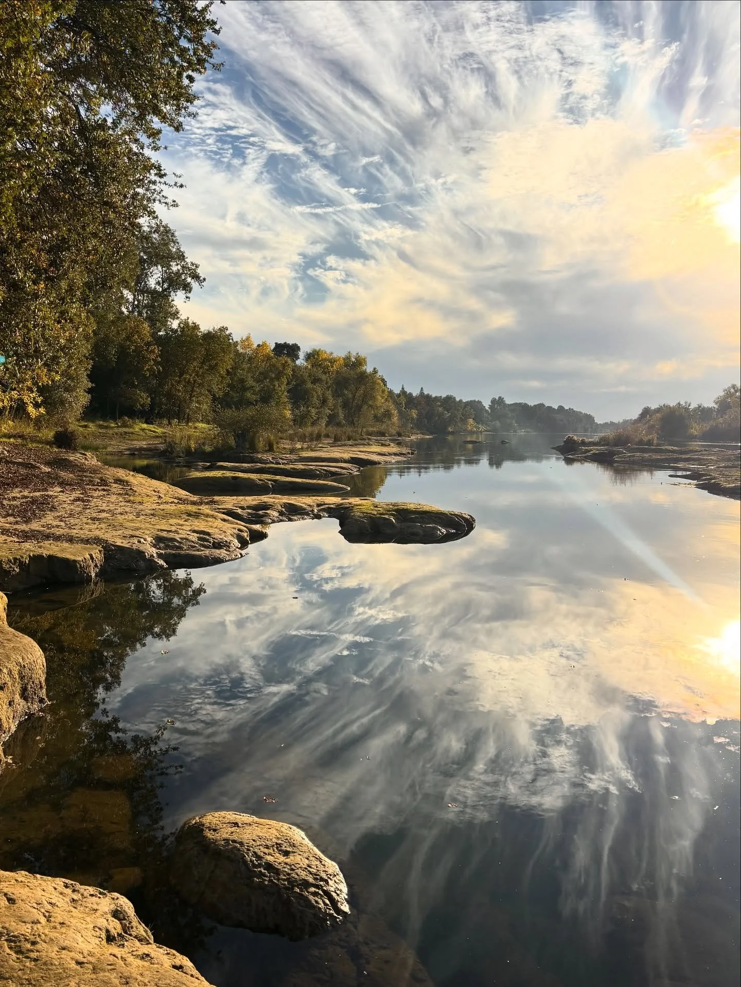 Okay now. Sometimes the fall light just hits. 

#fall #mildlyscenic #urbanriver #americanriverparkway #sacramento