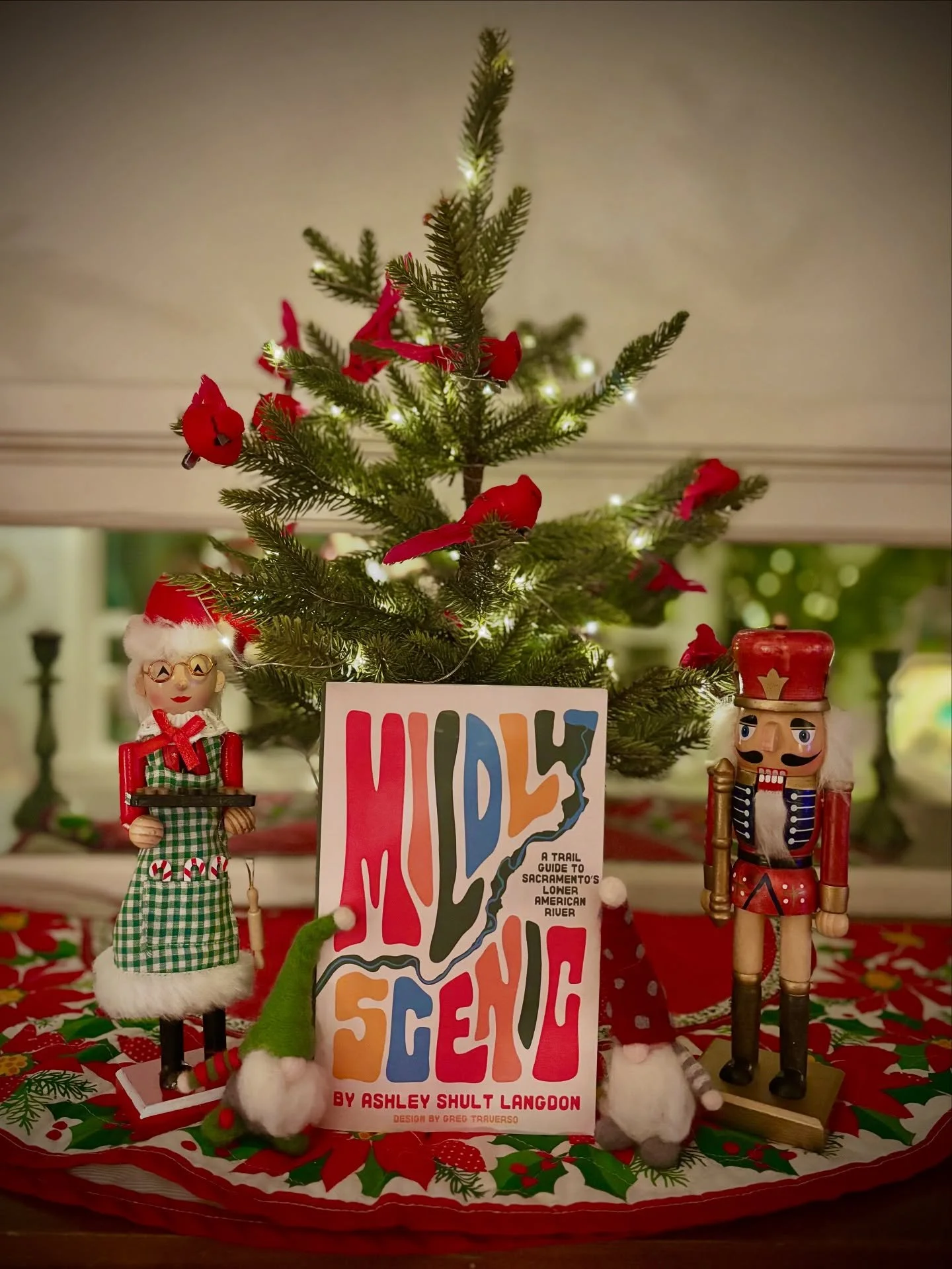 Lemme guess, you&rsquo;re looking for a gift that supports local women-owned-business-authors who lift up natural spaces and encourage finding awe and wonder in our own backyard?! 

I got you!! 🎁🎄❄️🕯️

📚 Find your copy of Mildly Scenic at any loc