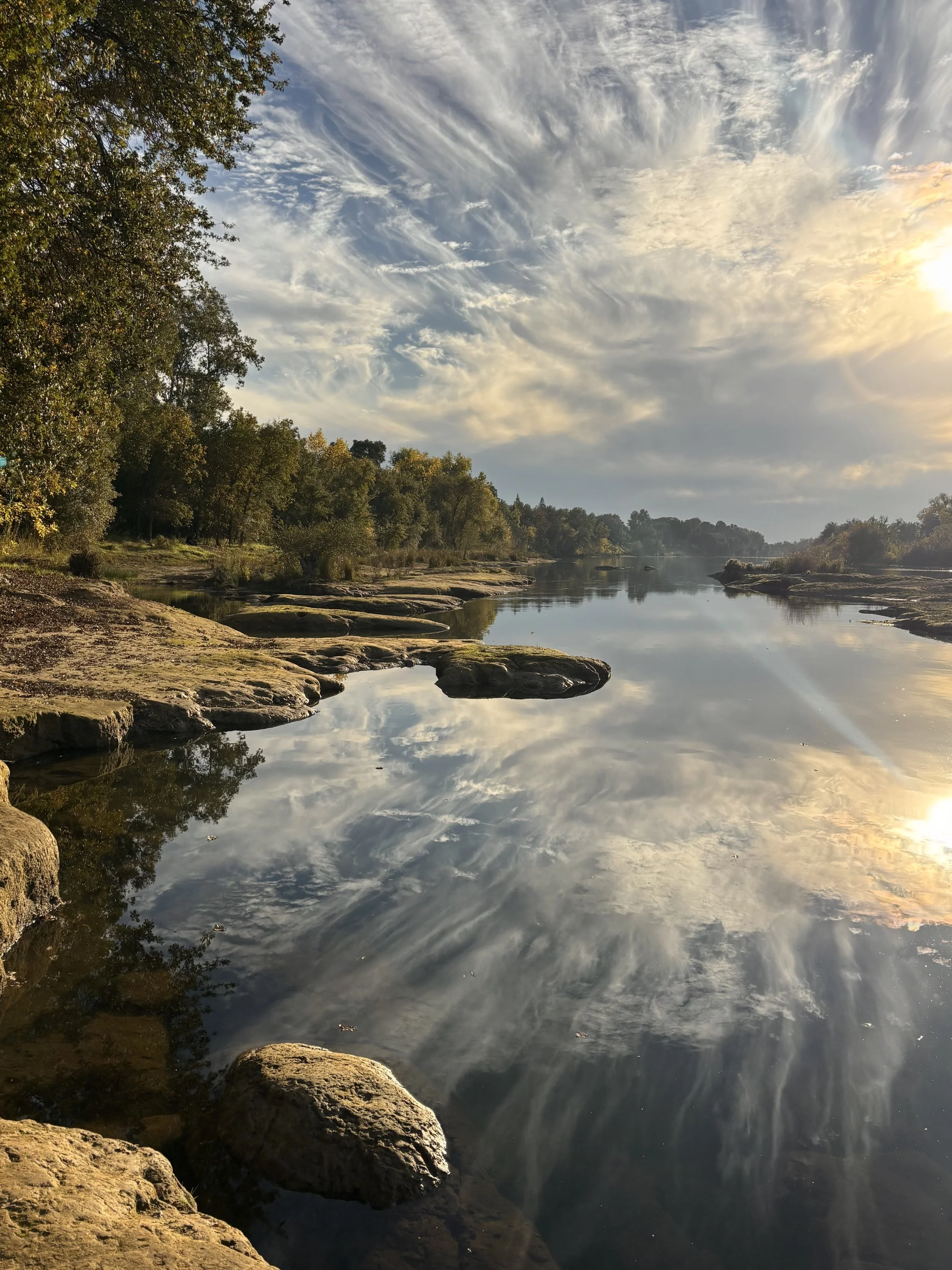 LOOKING BACK ON 2025