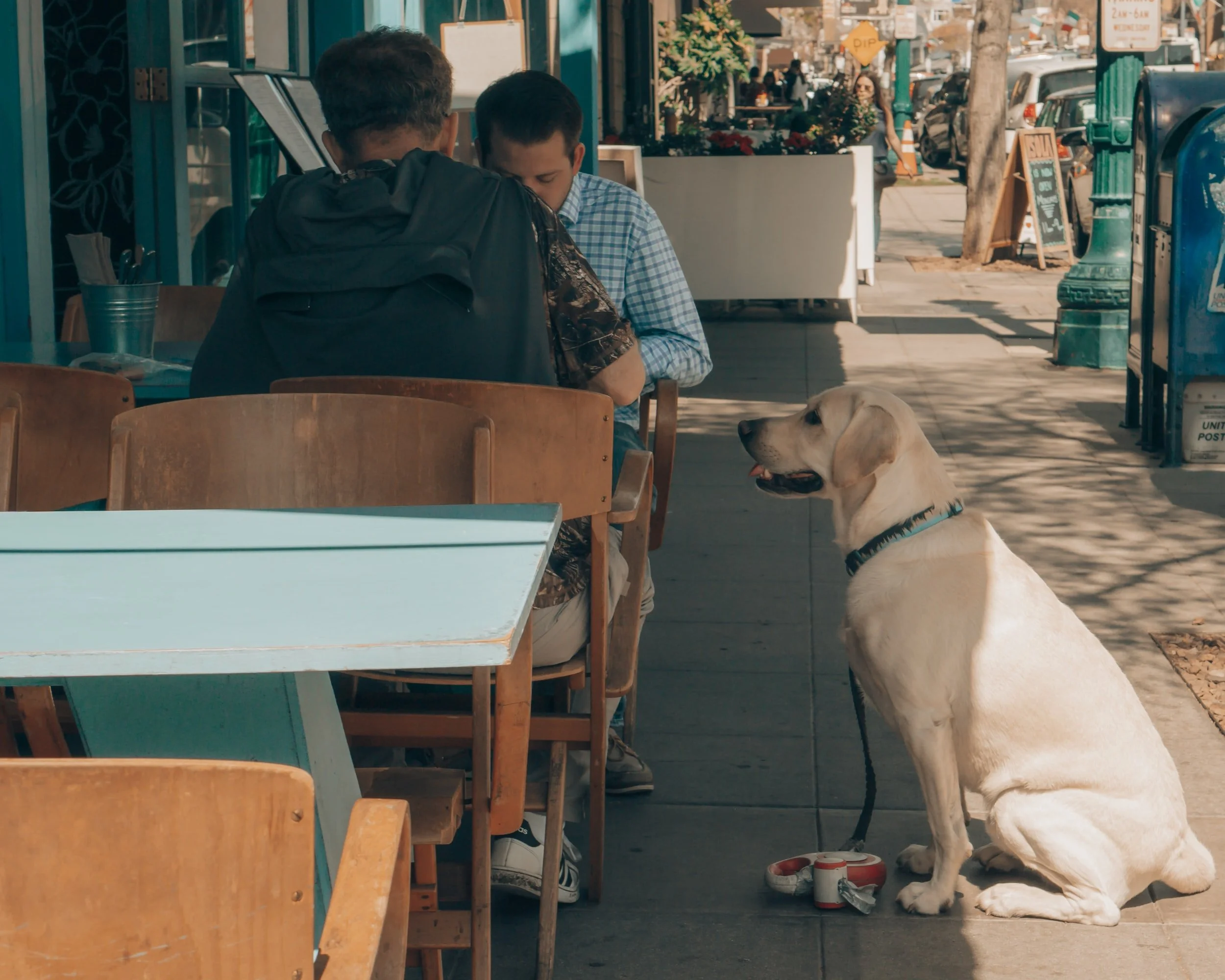 dog patio cafe