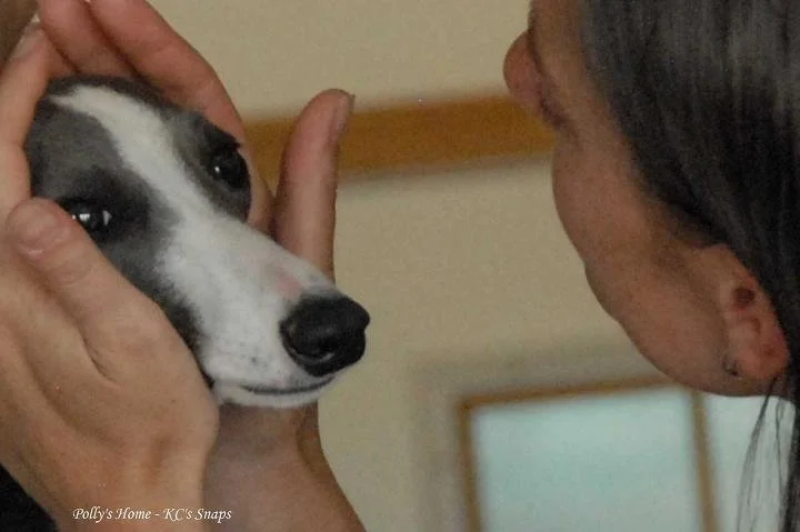 In praise of ... praise?