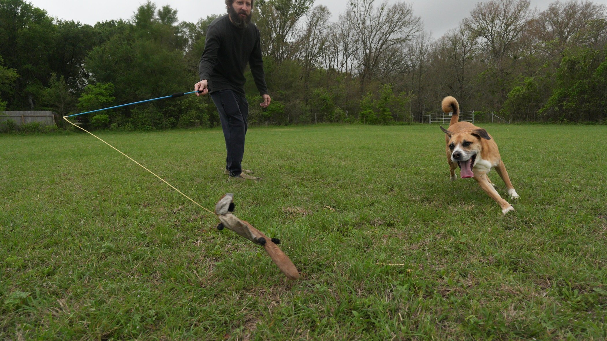 GUEST POST: Trainer Christopher Lee Moran teaches the secret to tiring out your high-energy dog.