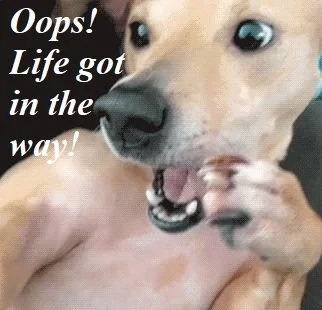 Dog looking surprised with text "Oops! Life got in the way!"
