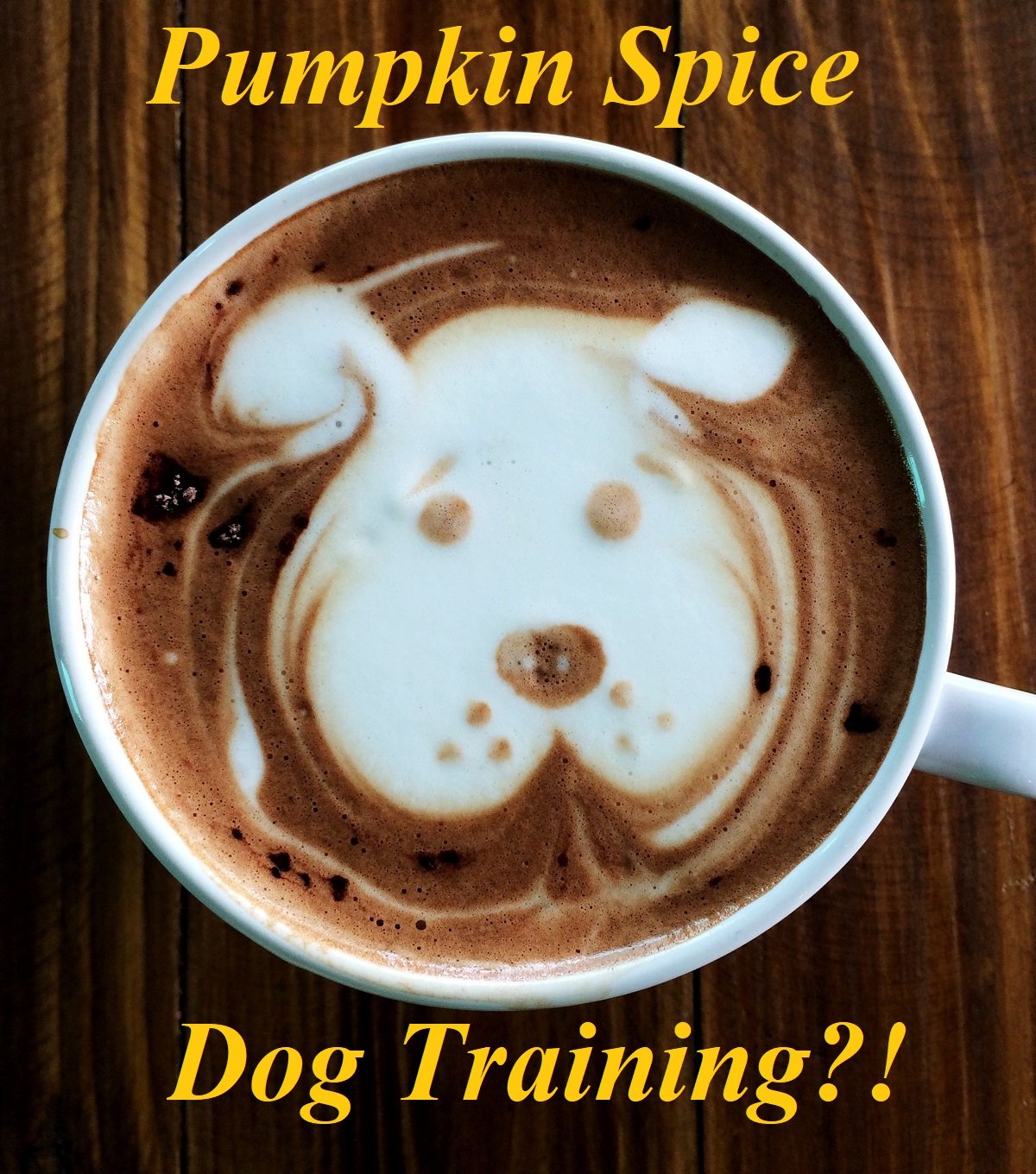 Latte art in a coffee cup featuring a dog face design, with text "Pumpkin Spice Dog Training?!" on wooden table background.