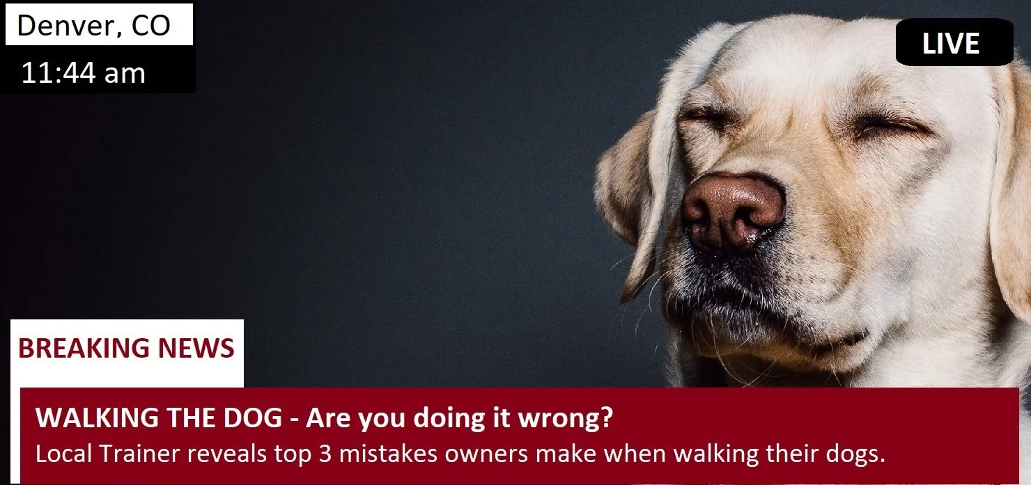 Dog Walking and Leash Manners