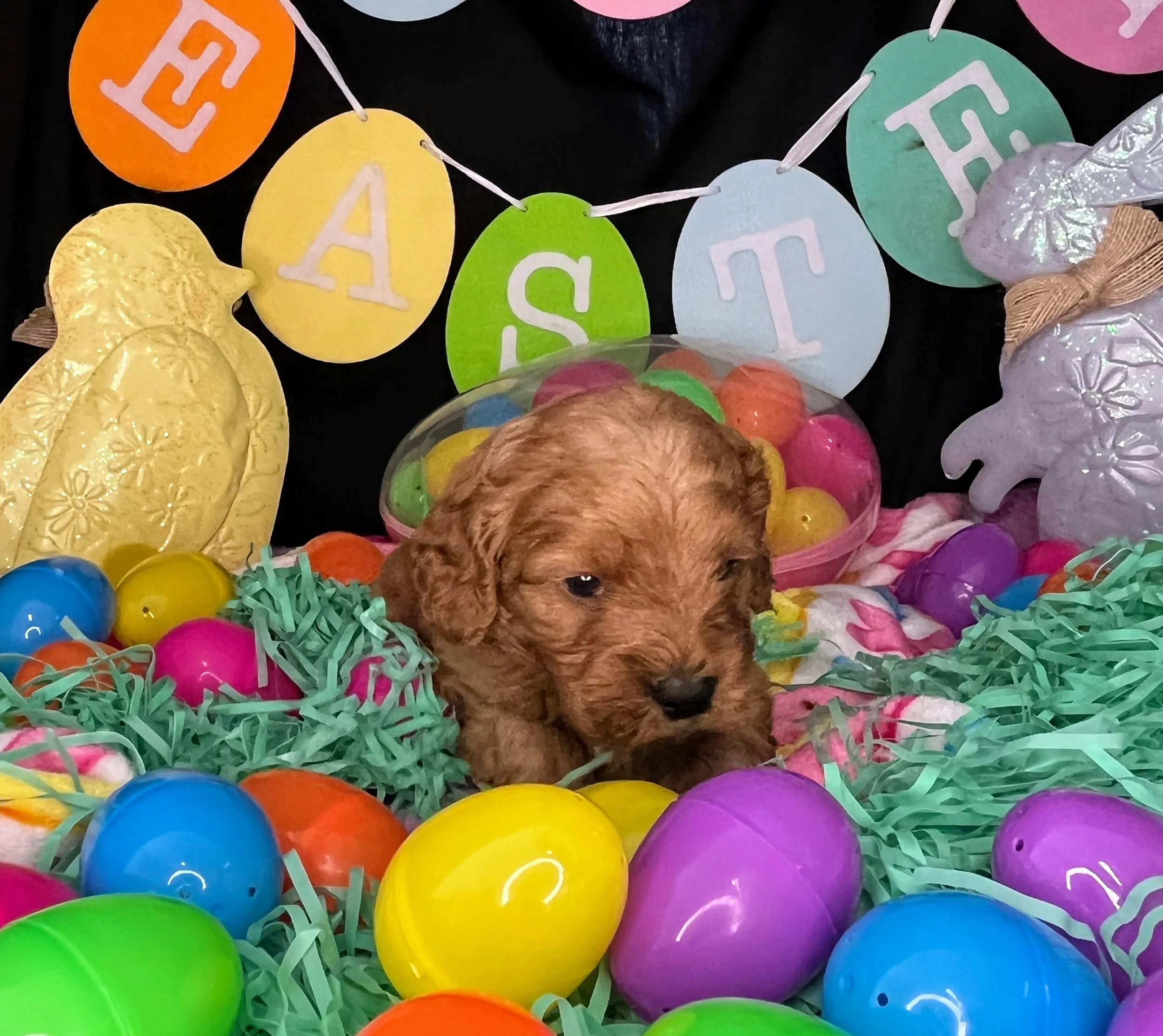 Monte 04032026 (2).jpg