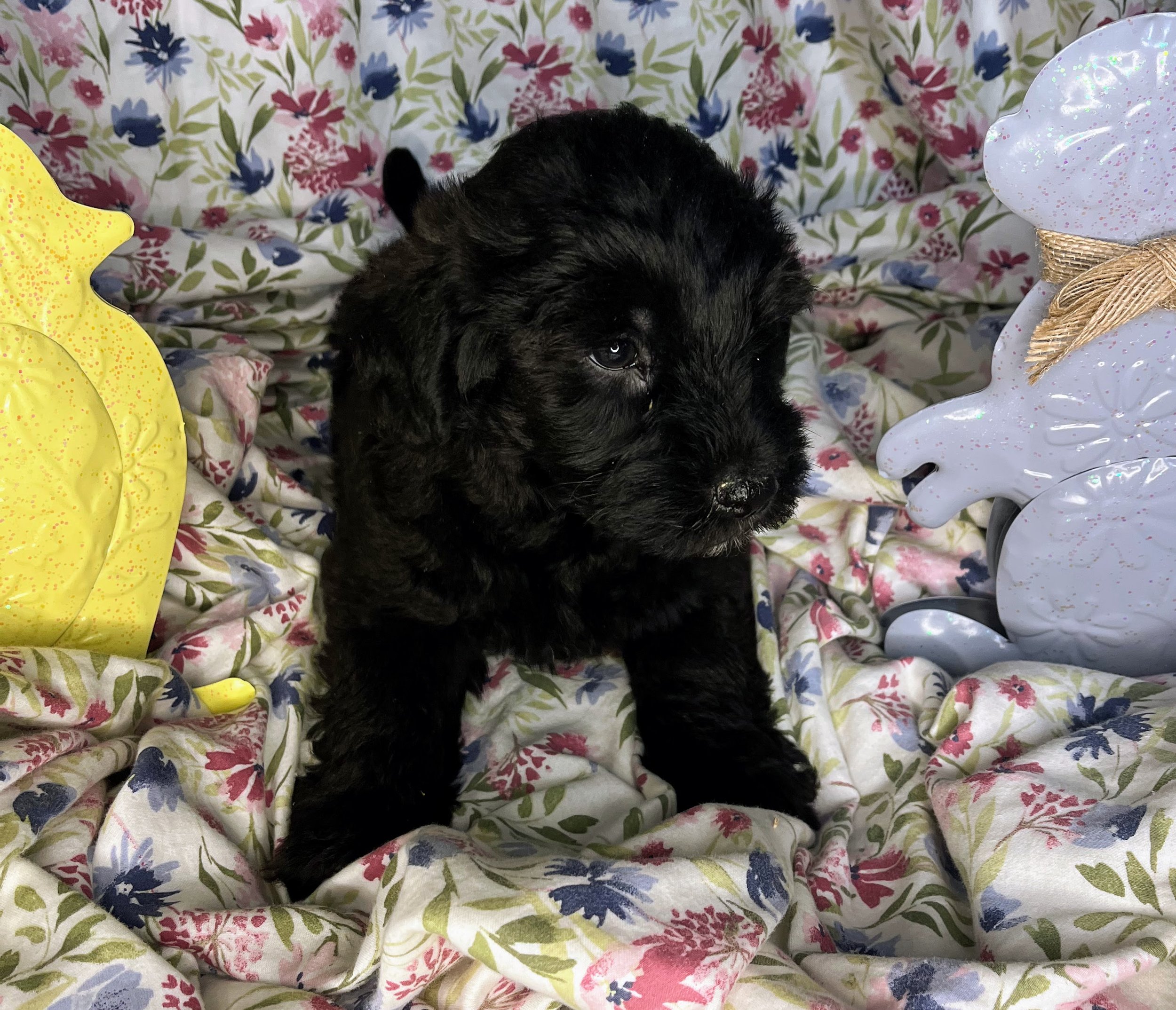 Mars 04132026 (3).jpg