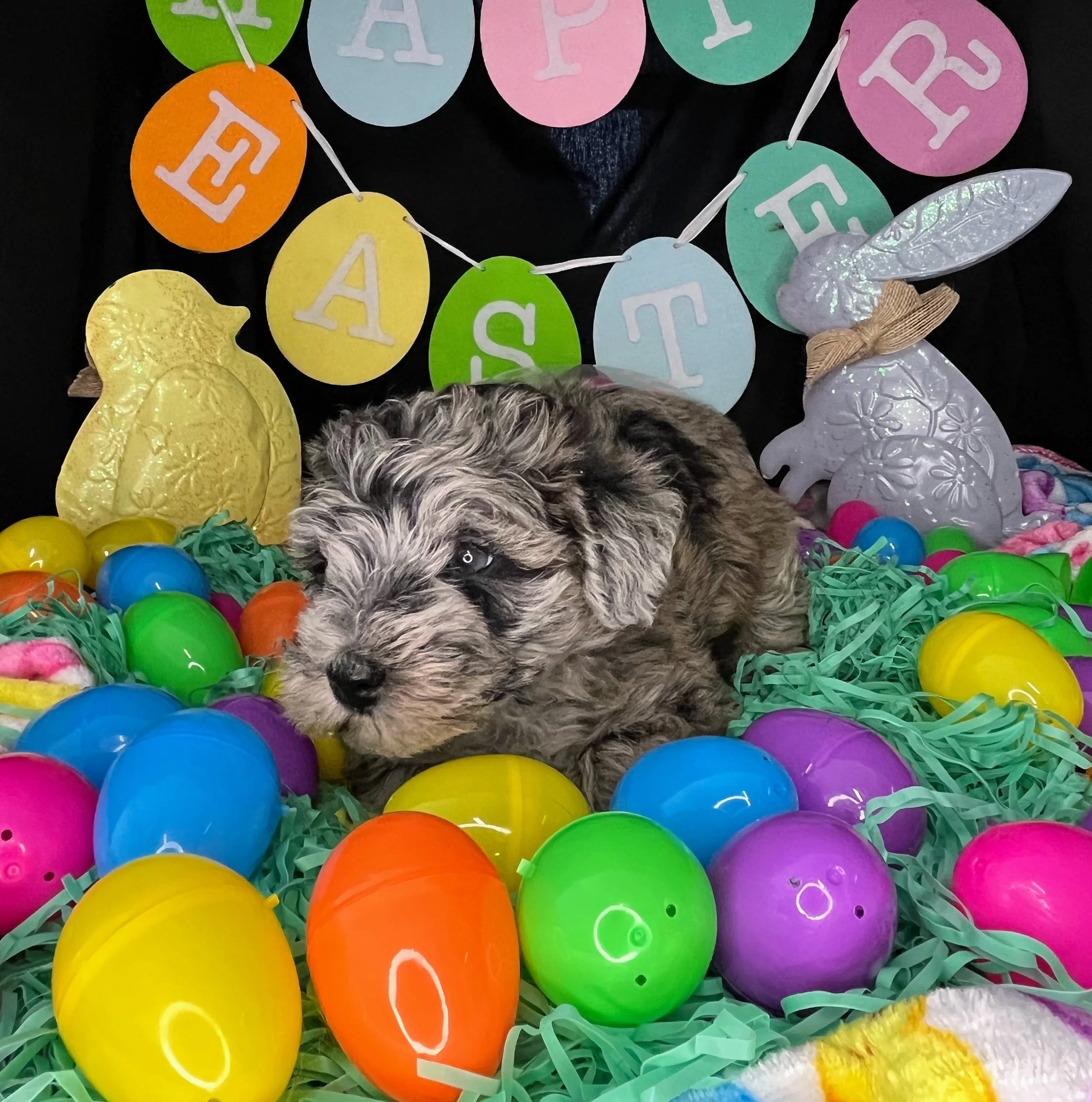 Twix 04032026 (3).jpg