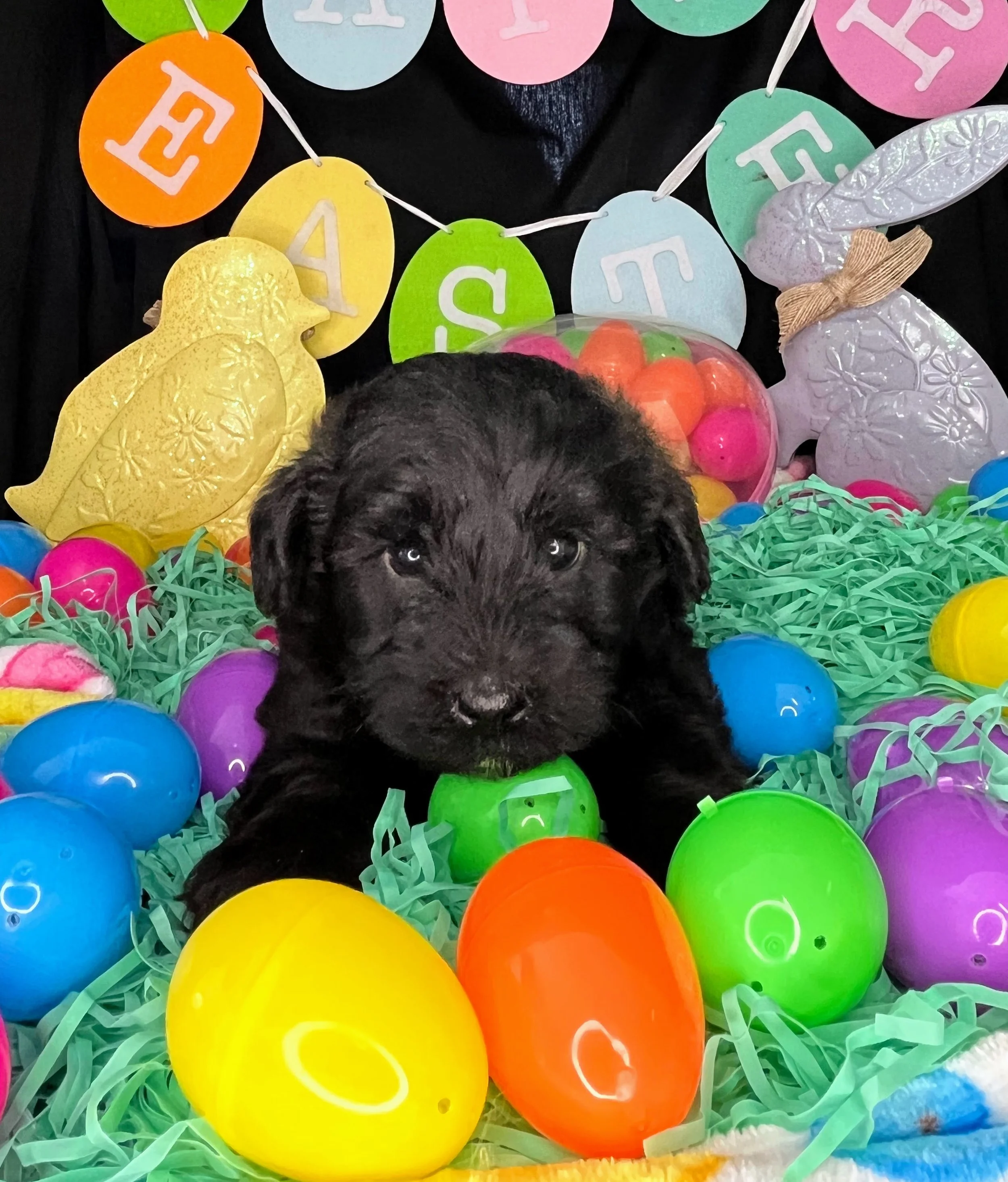 Mars 04032026 (1).jpg