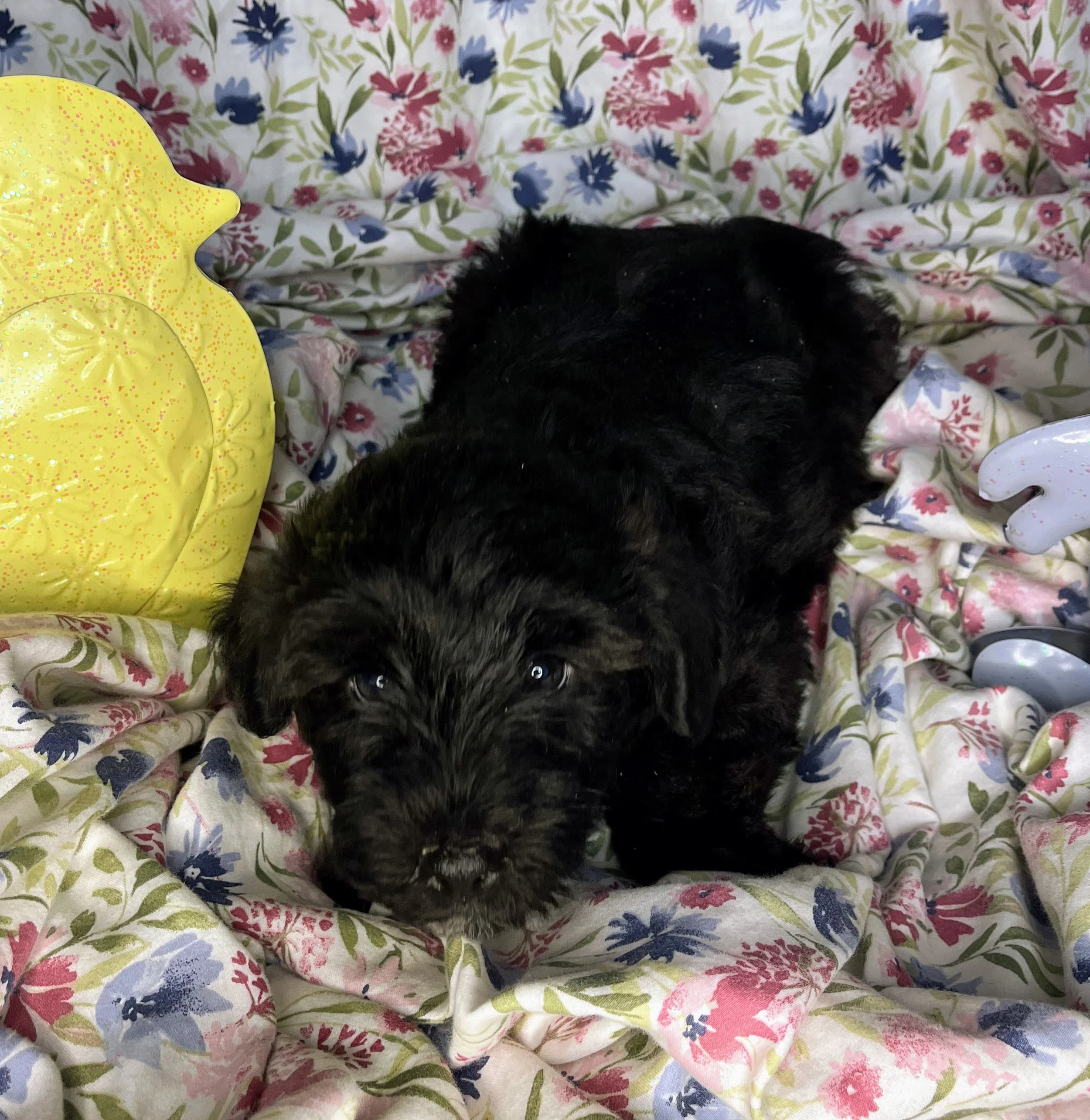 Mars 04132026 (1).jpg